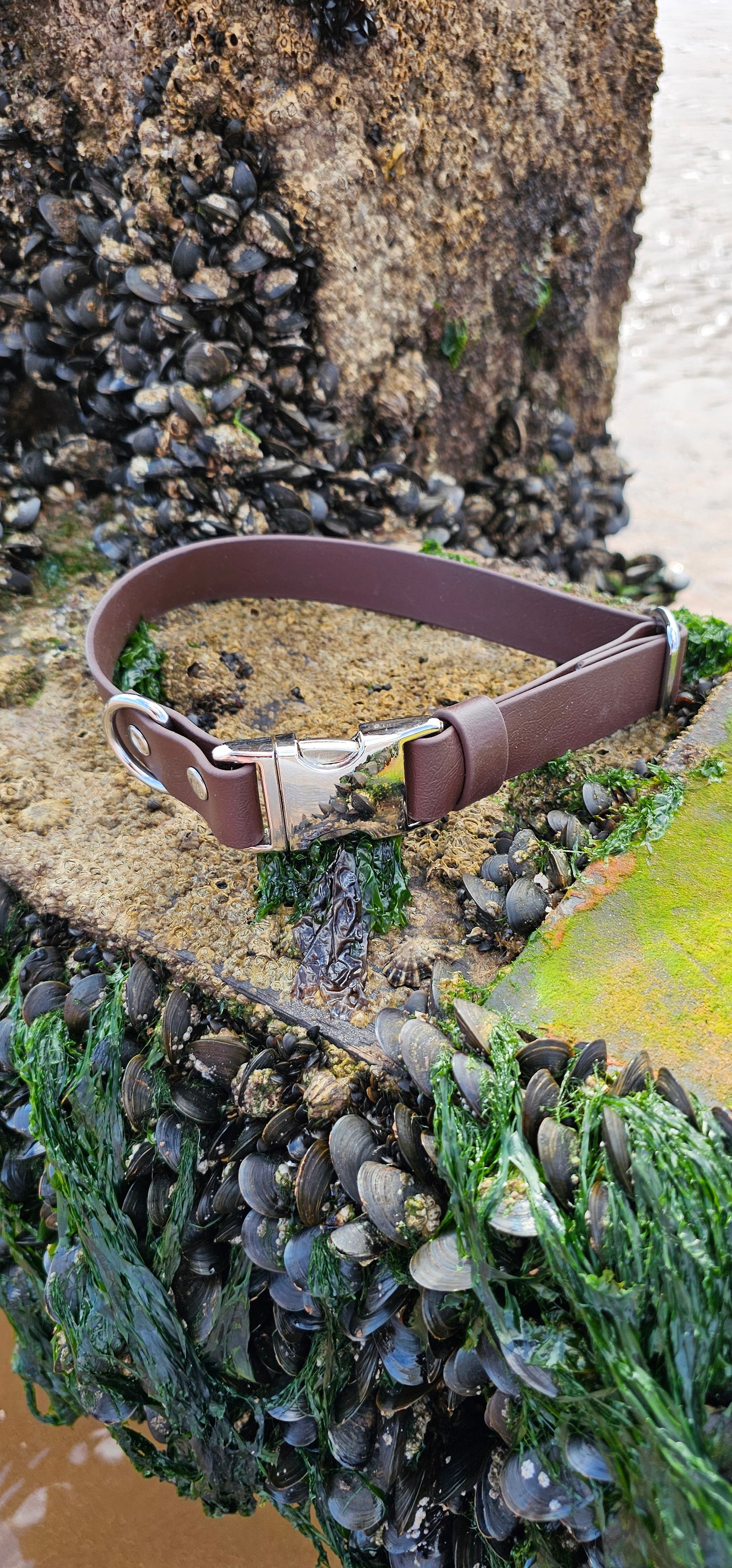 Everlast - Waterproof BioThane® Fast Release Dog Collar