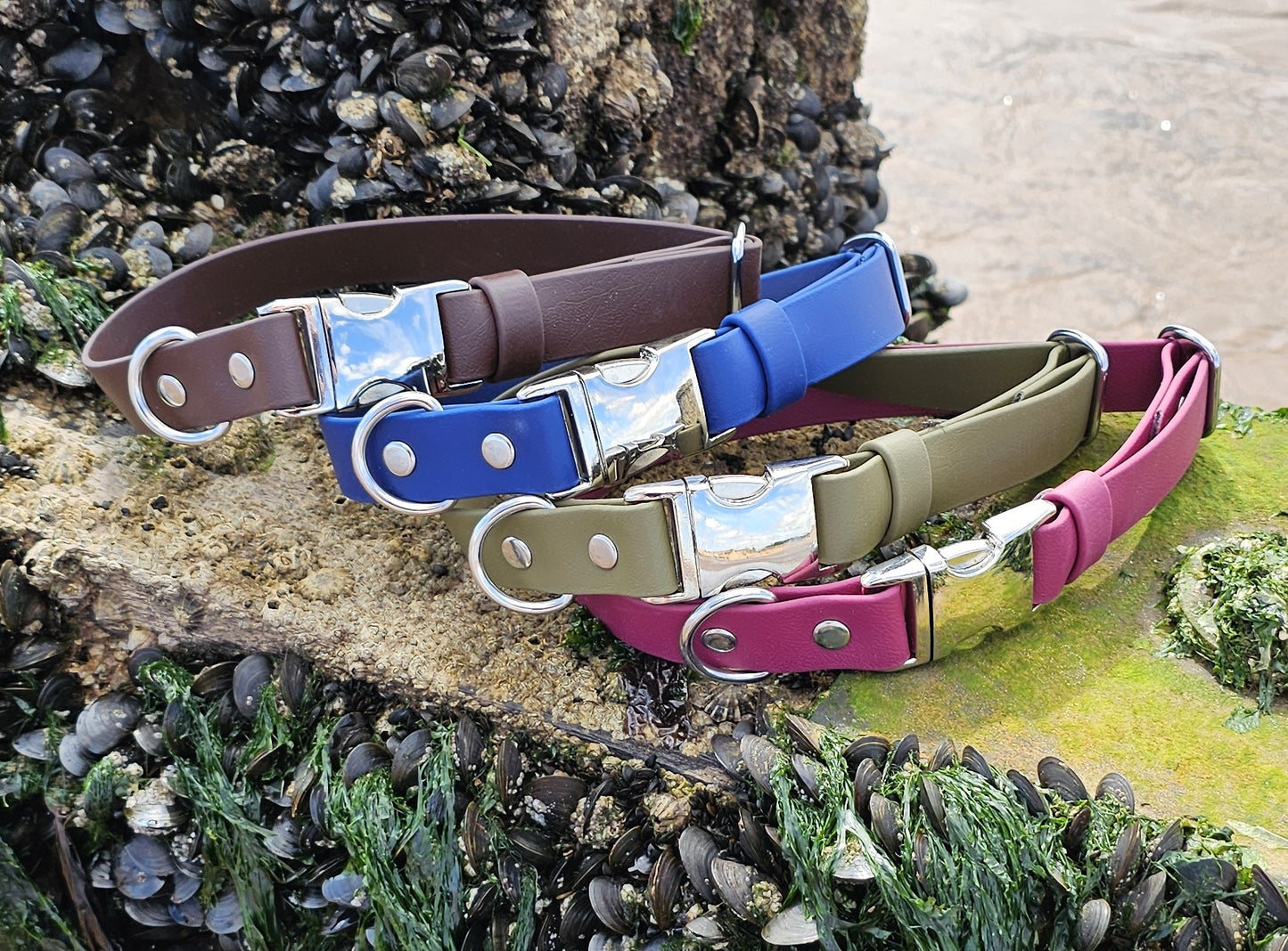 DESIGN YOUR OWN - Everlast Range BioThane® 24-piece Bundle - Fast Release Collar Option