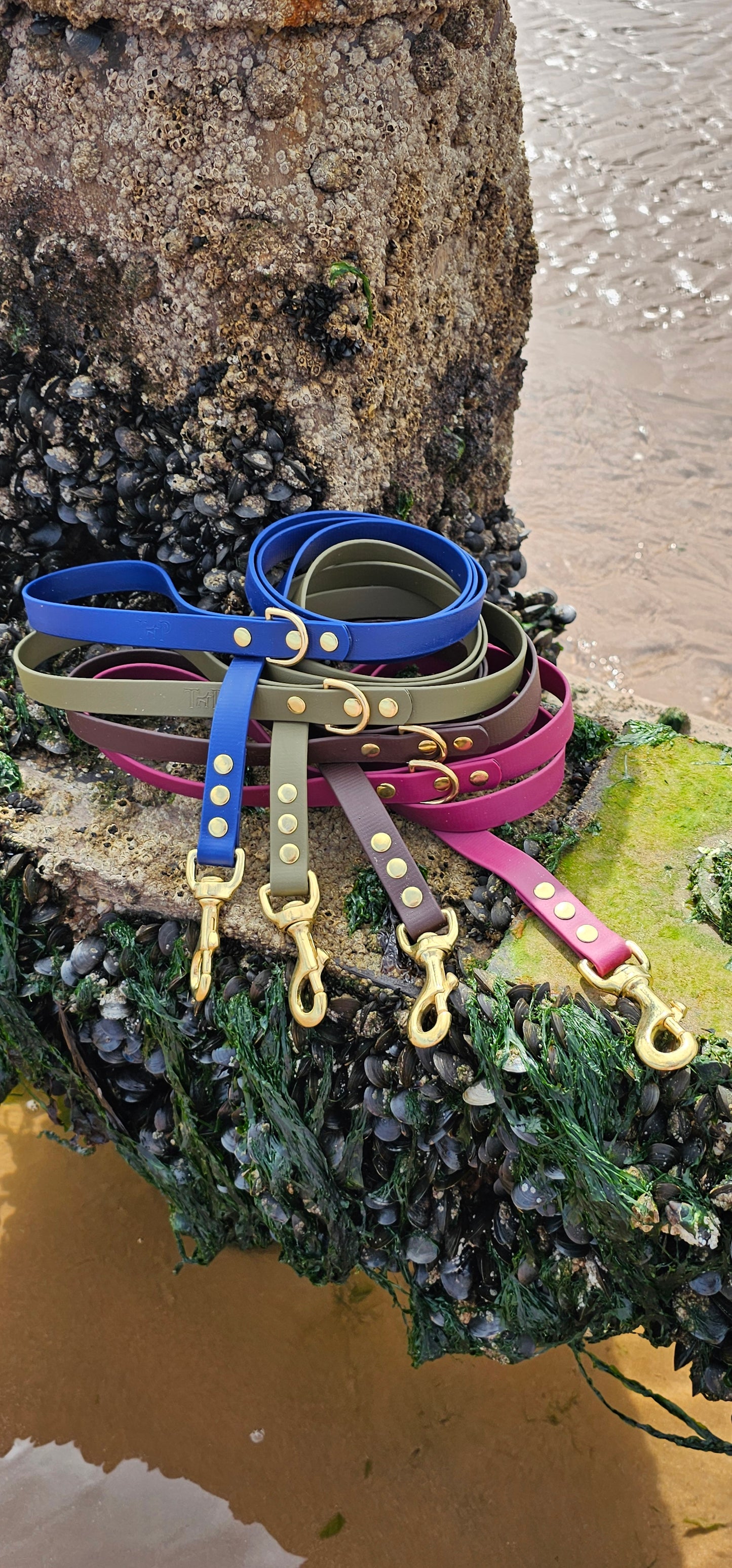 Everlast - Waterproof BioThane® Dog Leads