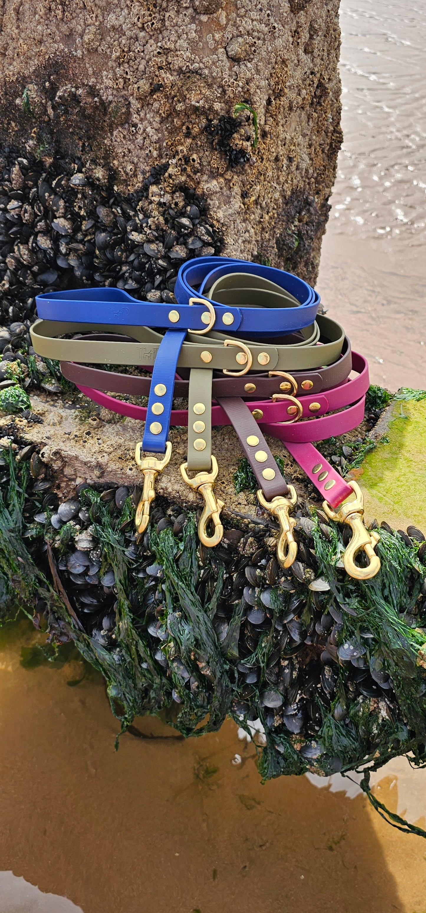 DESIGN YOUR OWN - Everlast Range BioThane® 24-piece Bundle