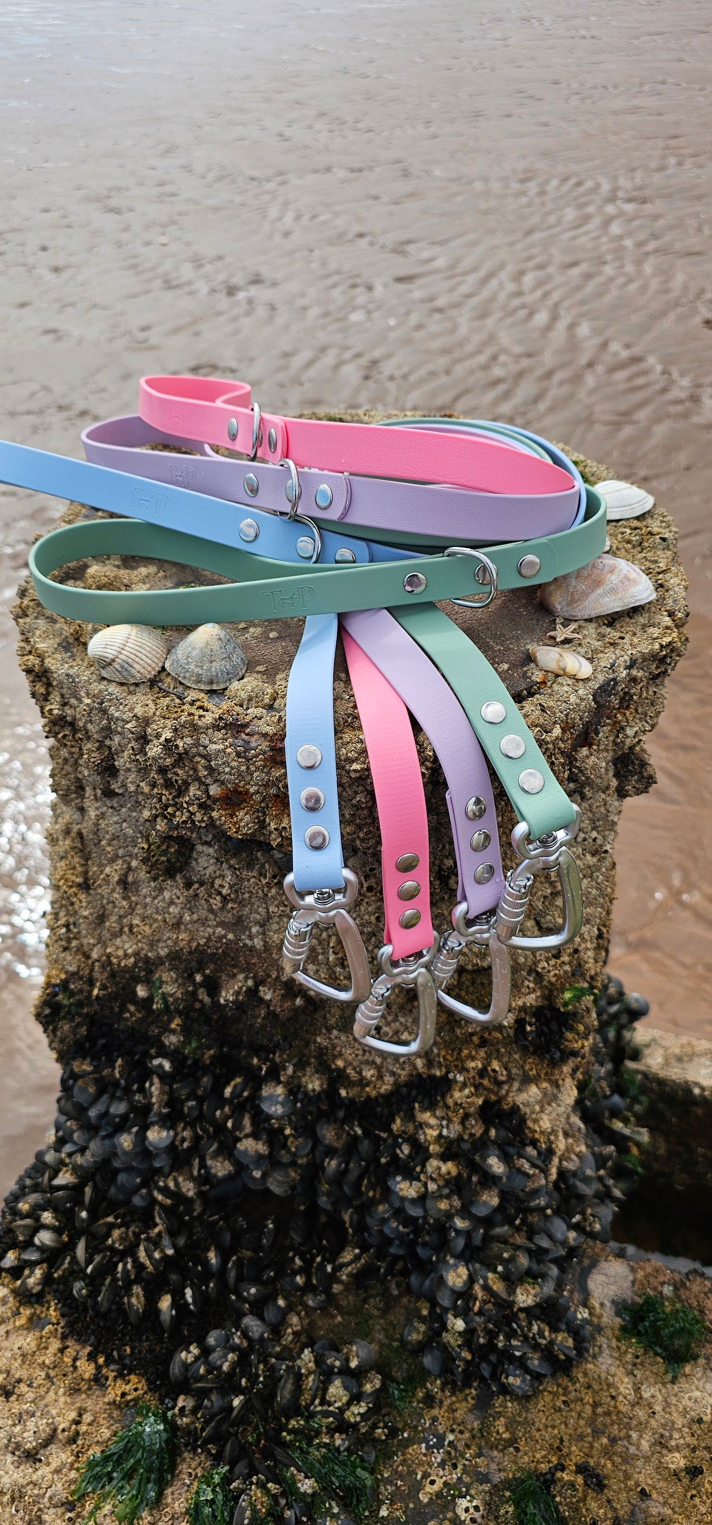 Everlast - Waterproof BioThane® Dog Leads
