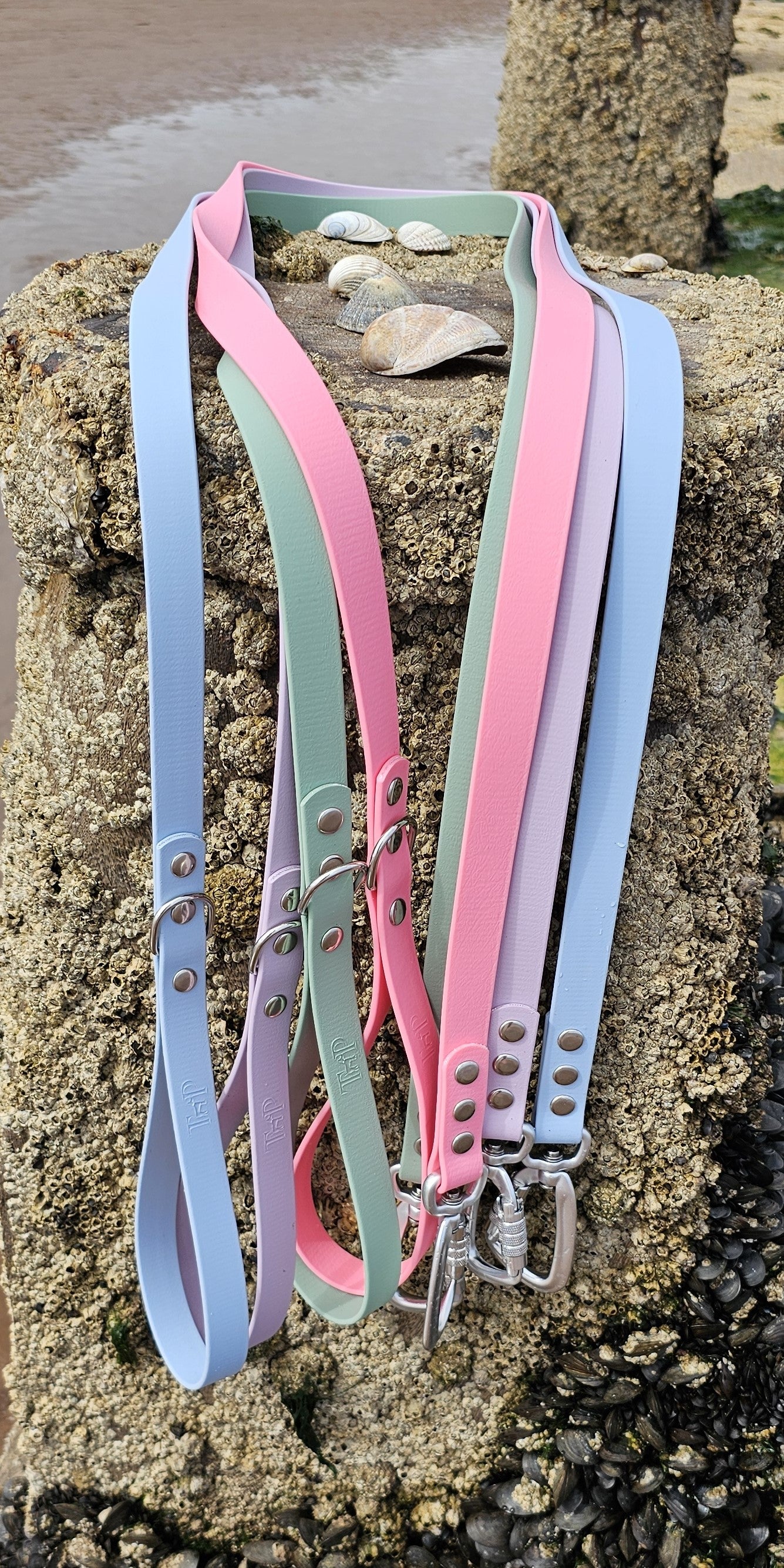 DESIGN YOUR OWN - Everlast Range BioThane® 24-piece Bundle - Fast Release Collar Option