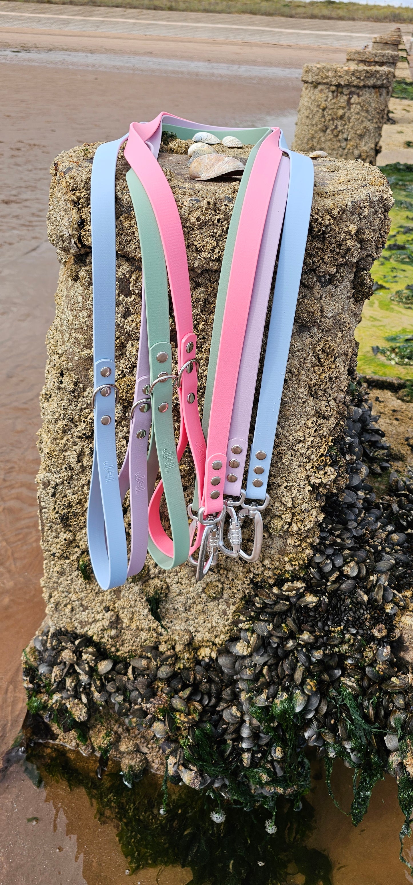 Everlast - Waterproof BioThane® Dog Leads