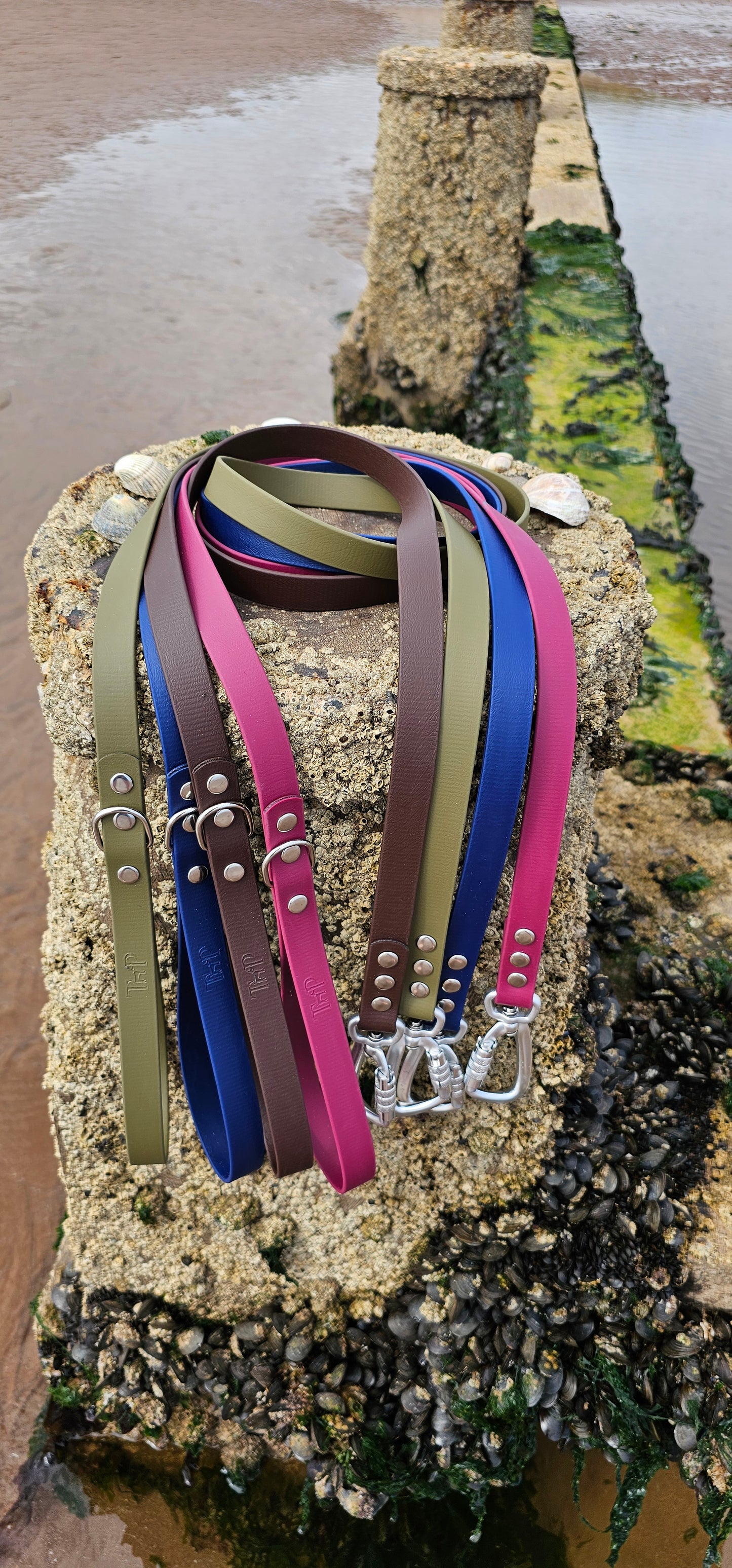 Everlast - Waterproof BioThane® Dog Leads