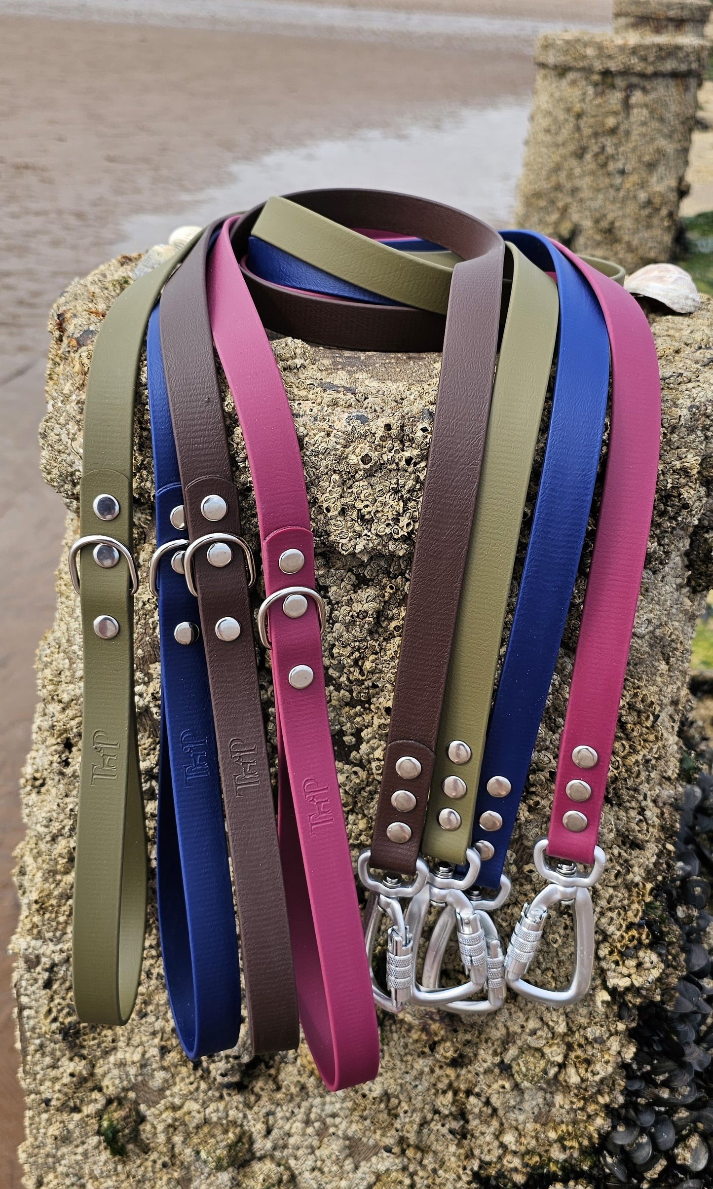 DESIGN YOUR OWN - Everlast Range BioThane® 24-piece Bundle - Fast Release Collar Option