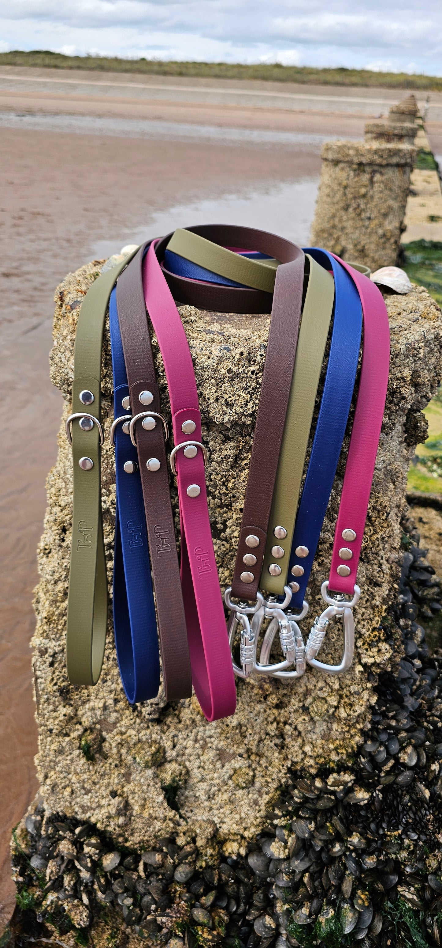 Everlast - Waterproof BioThane® Dog Leads