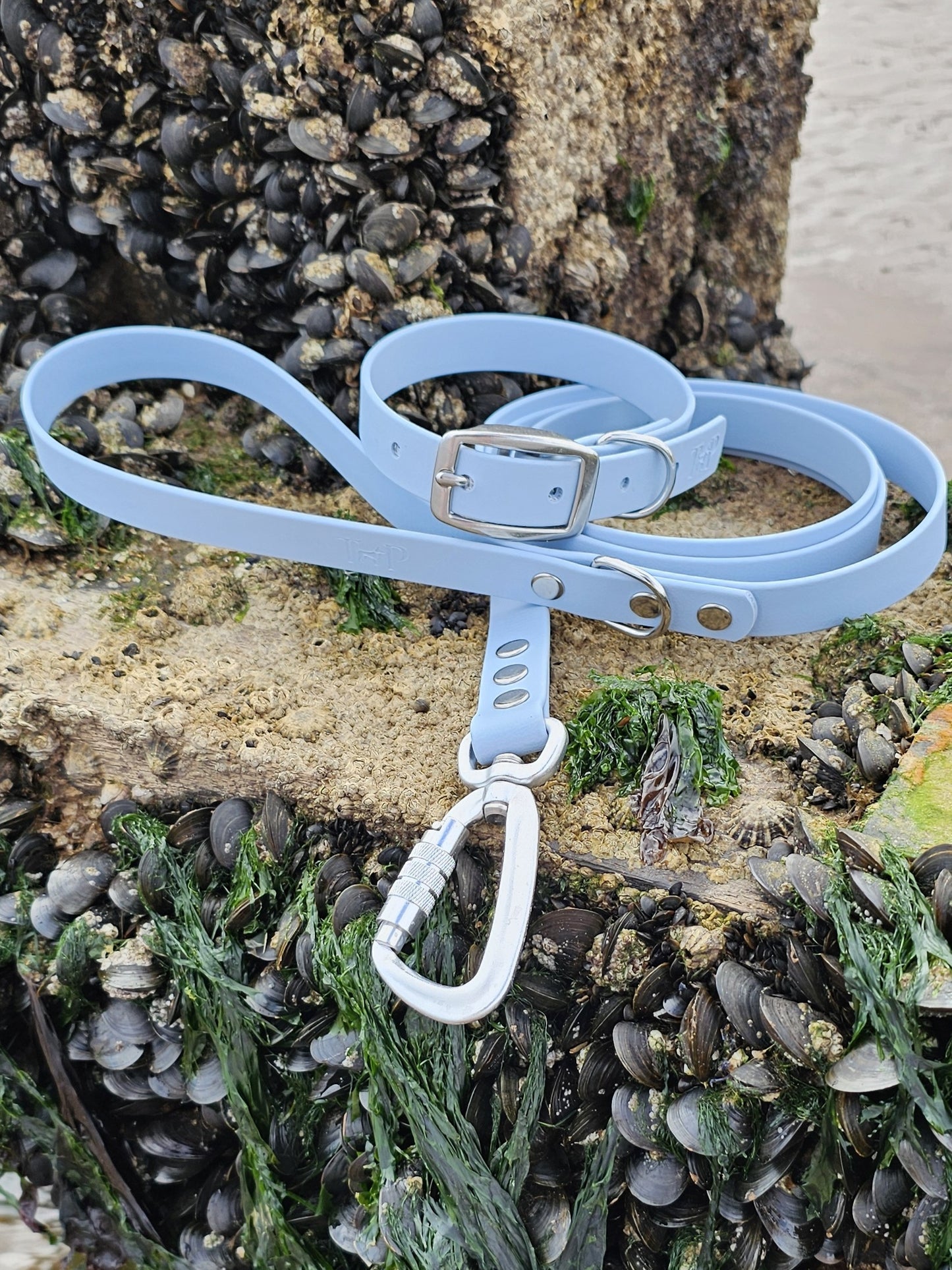 Pastel Blue Waterproof BioThane© Dog Lead