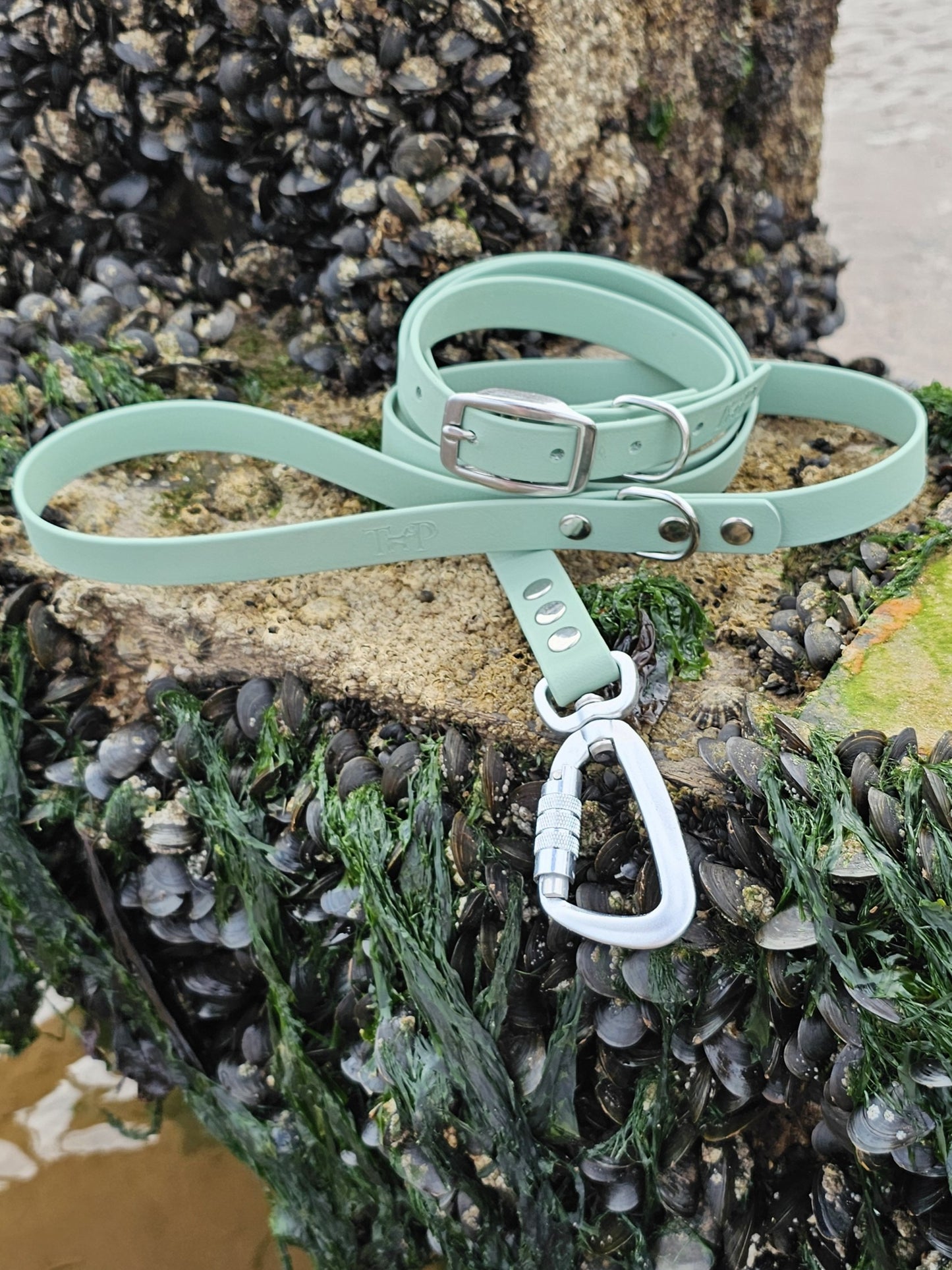 Sage Waterproof BioThane© Dog Lead