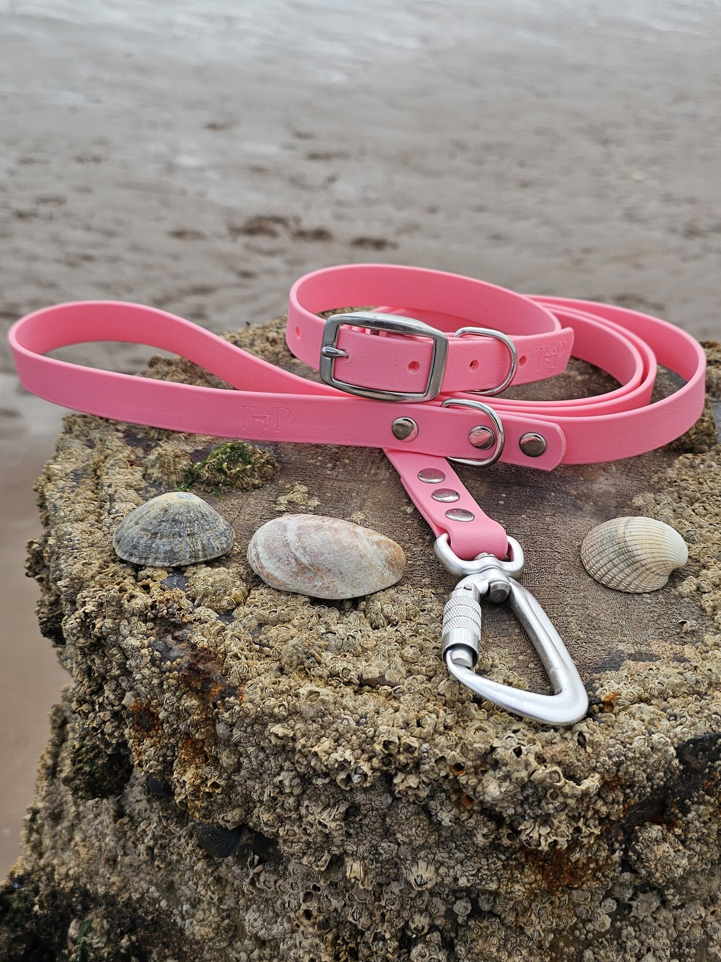 Baby Pink Waterproof BioThane© Dog Lead