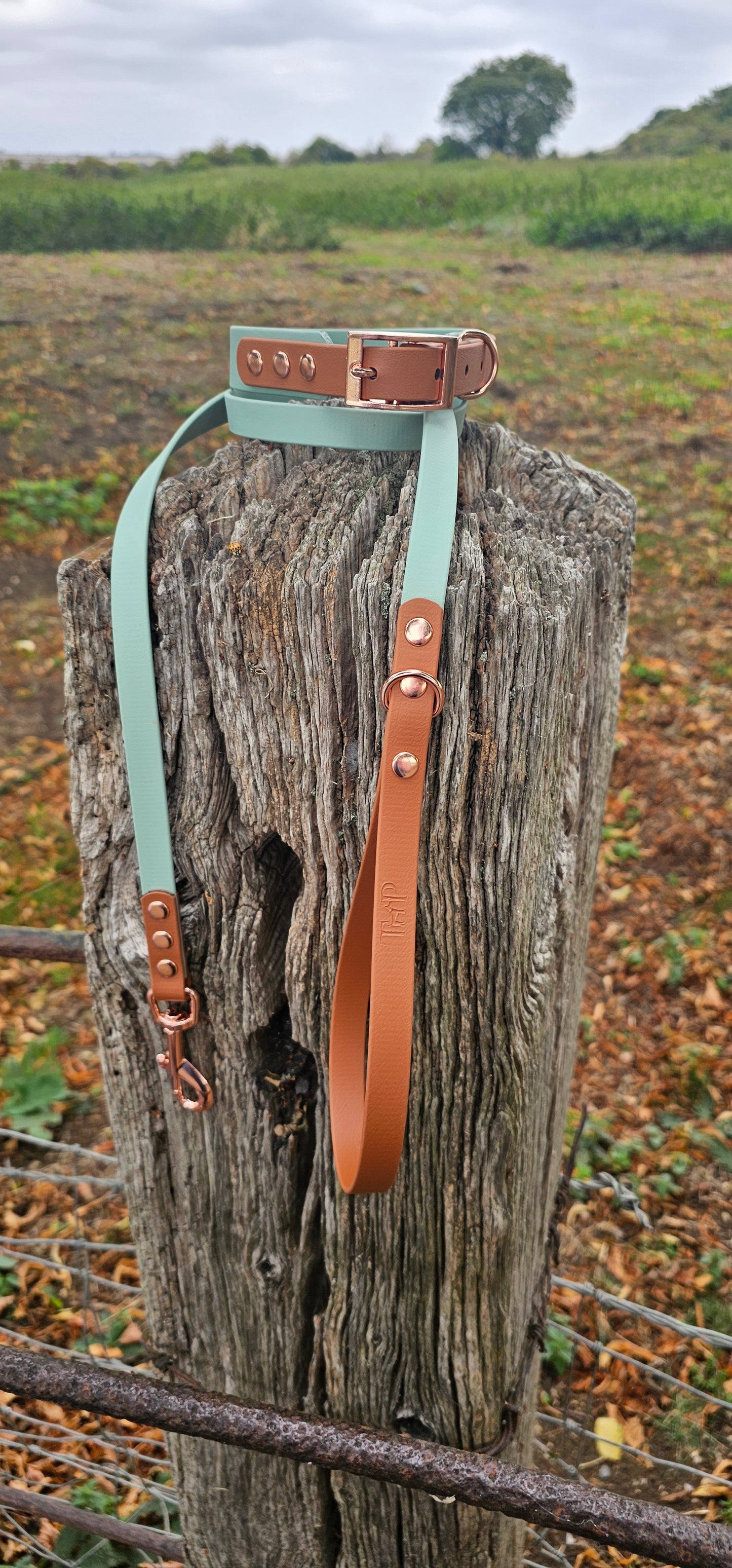 Sage & Tan - Waterproof Biothane® two-coloured Dog Lead