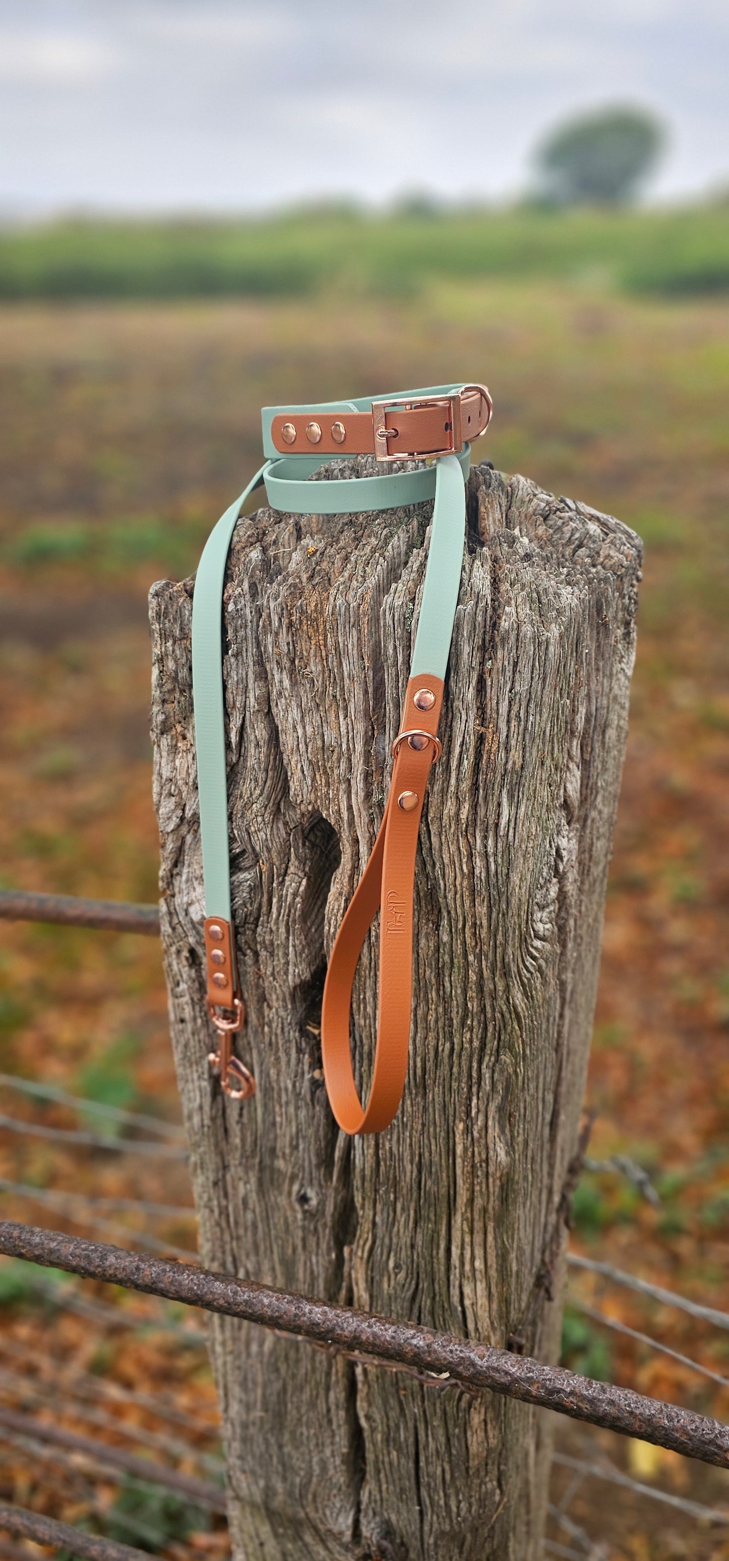 Sage & Tan - Waterproof BioThane© two-coloured Dog Collar