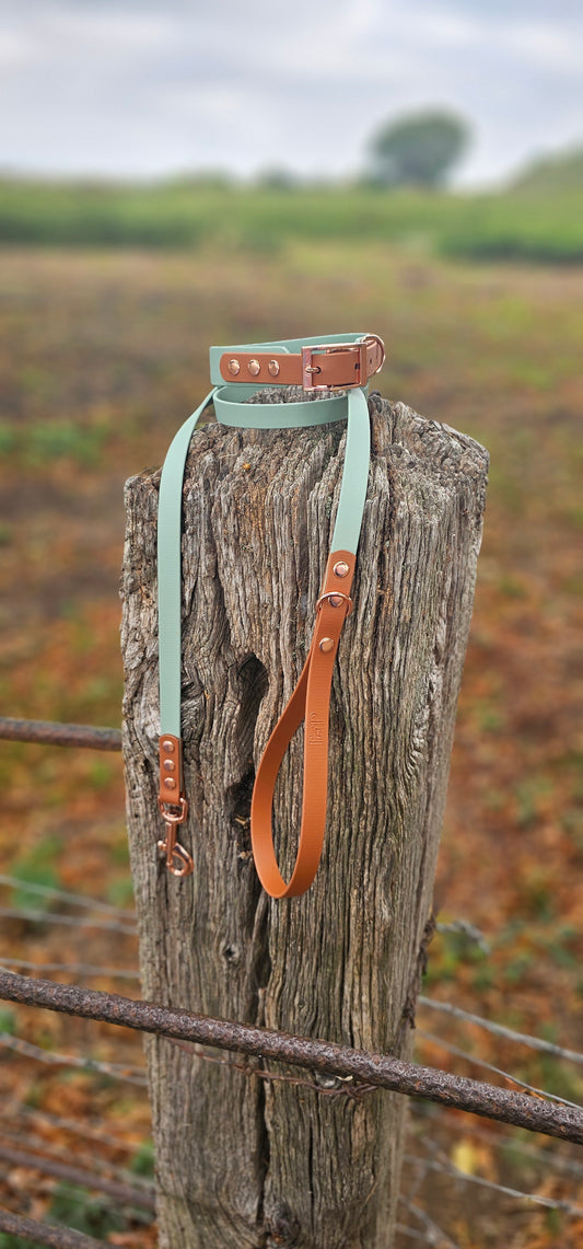 SAGE / LIGHT BROWN - Waterproof BioThane© 2-coloured Dog Collar / Dog Lead
