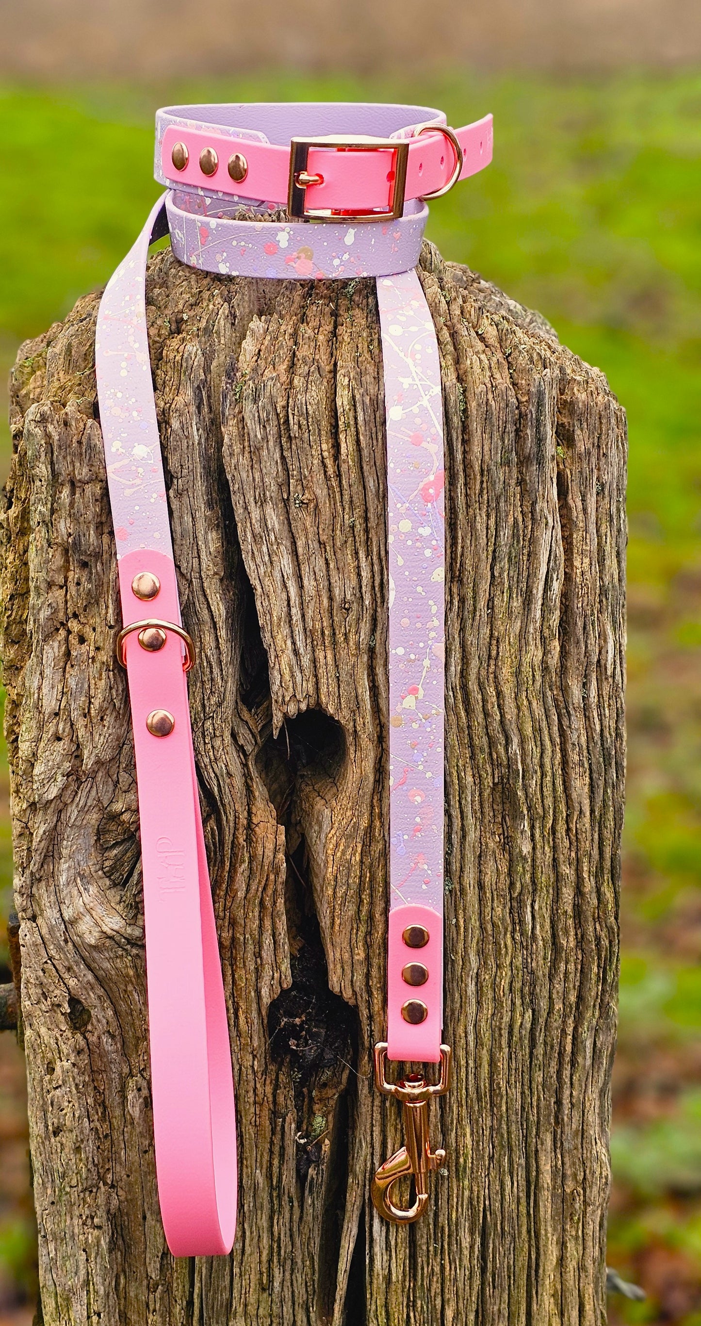 Petal Blossom – Waterproof BioThane® Splatter Dog Collar (Pastel Collection)