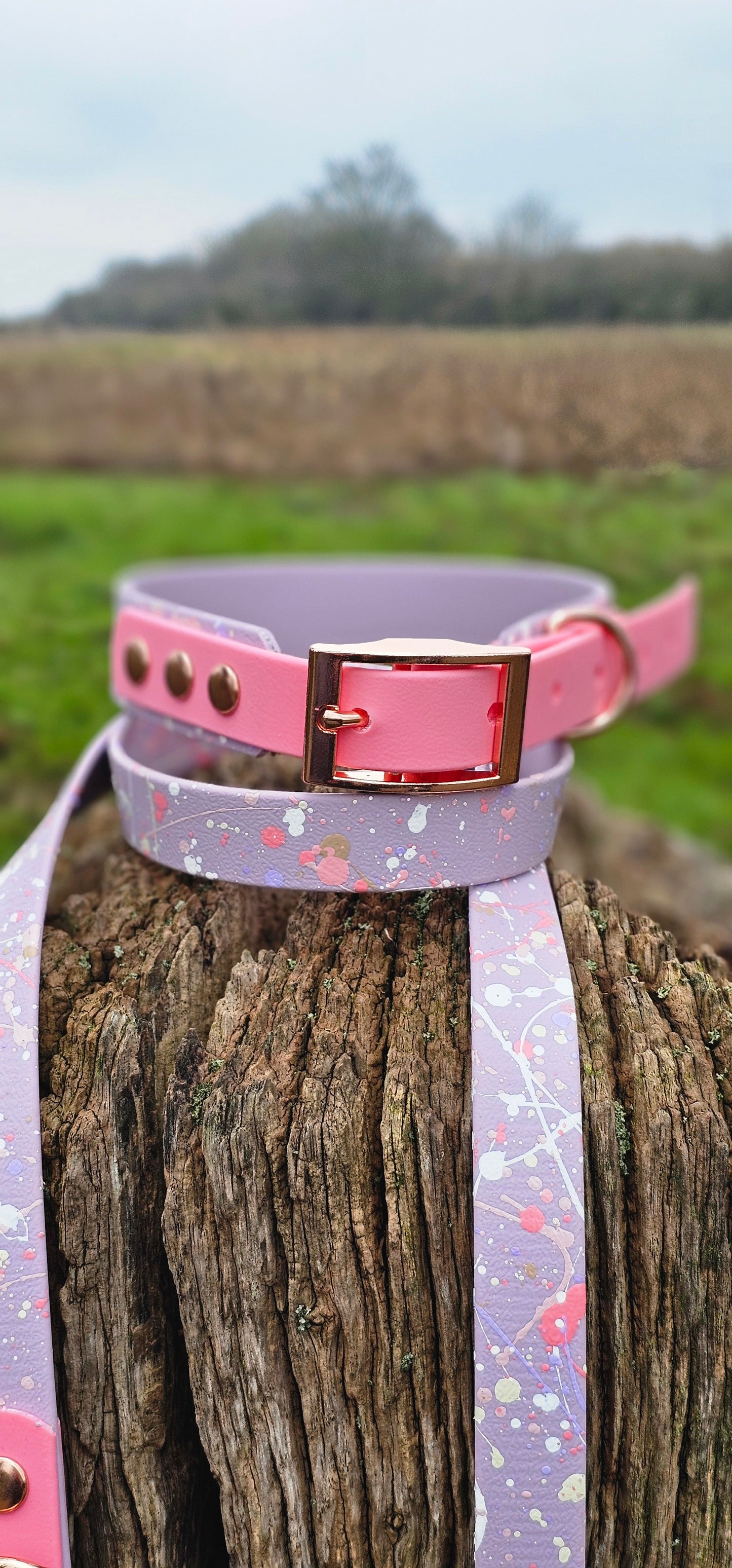 Petal Blossom – Waterproof BioThane® Splatter Dog Collar (Pastel Collection)