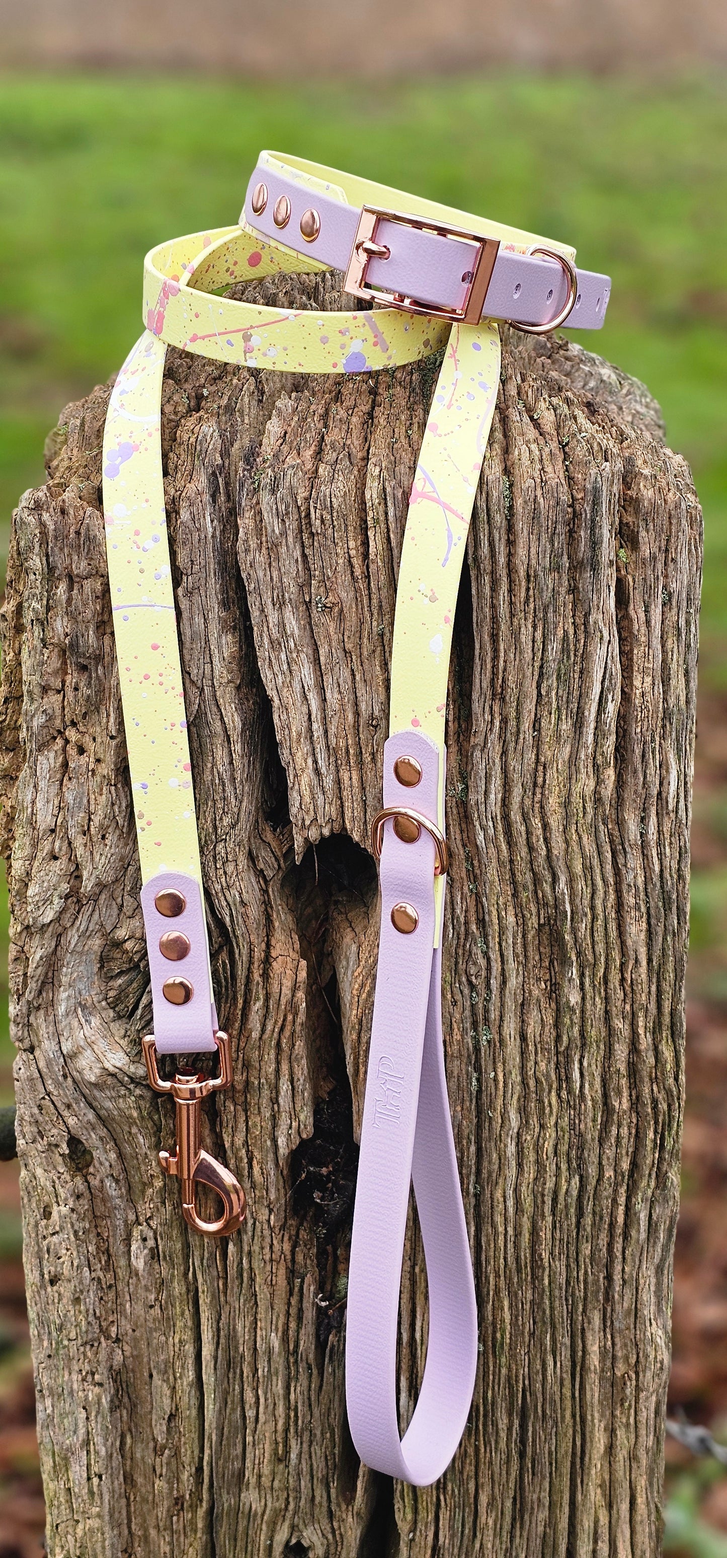 Pastel Splatter Collection Lemon -  BioThane waterproof Splatter Dog Collar & Lead