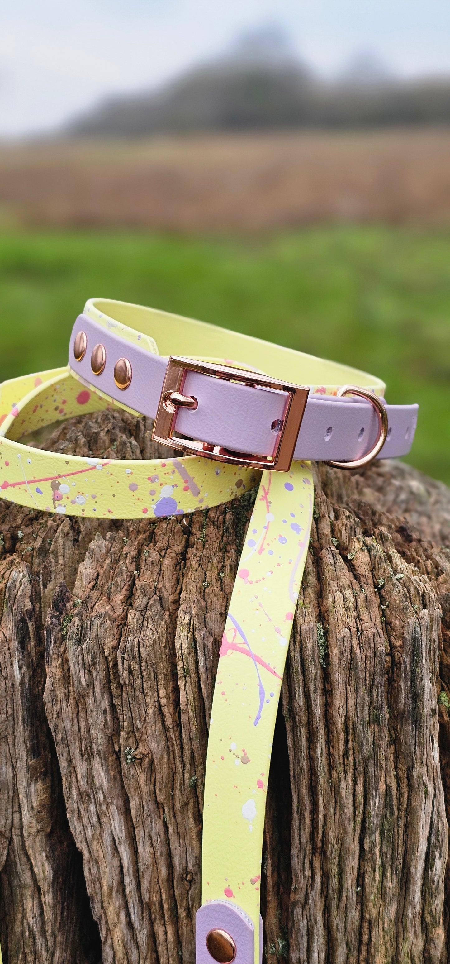 Pastel Splatter Collection Lemon -  BioThane waterproof Splatter Dog Collar & Lead