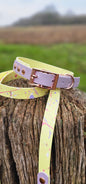 Pastel Splatter Collection Lemon -  BioThane waterproof Splatter Dog Collar & Lead