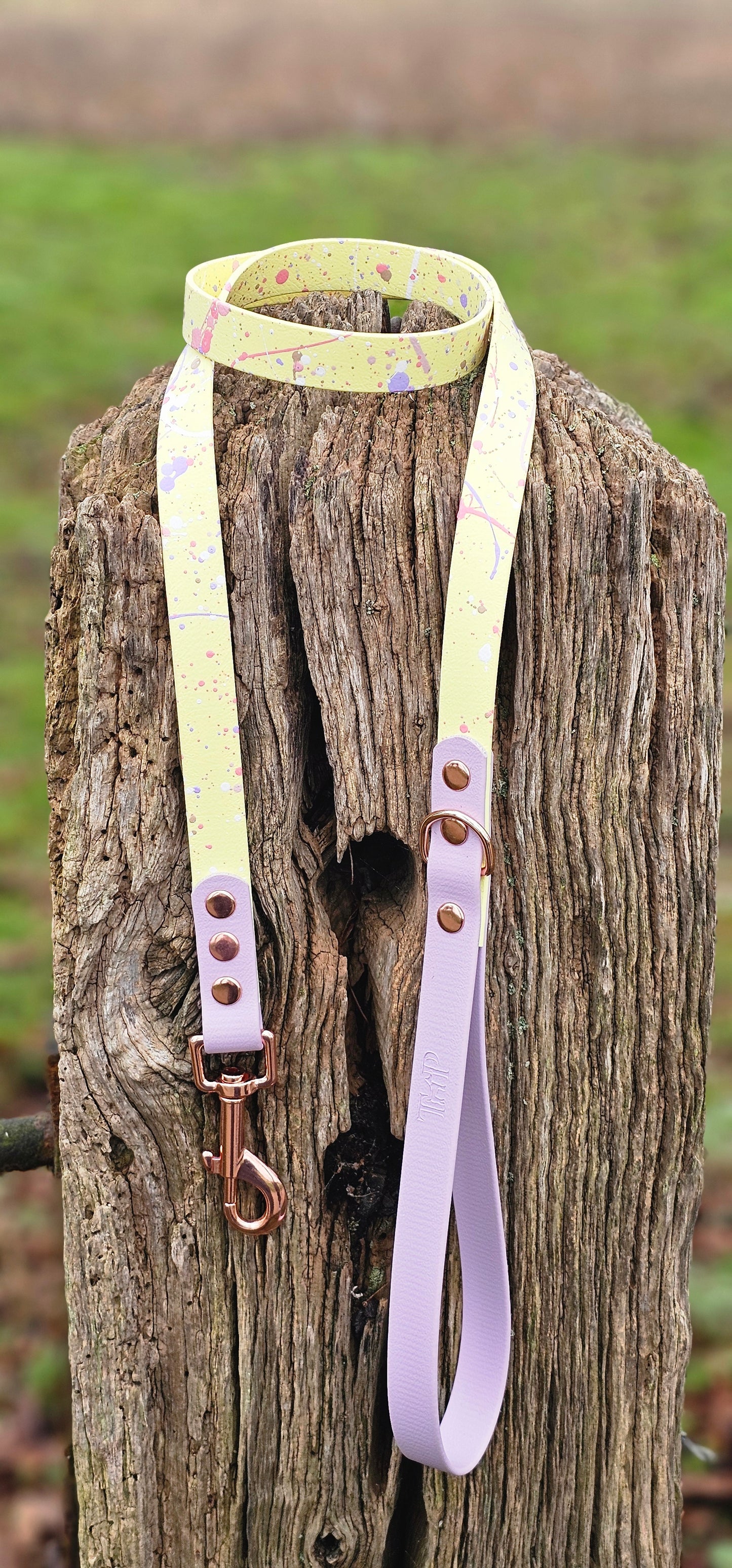 Pastel Splatter Collection Lemon -  BioThane waterproof Splatter Dog Collar & Lead