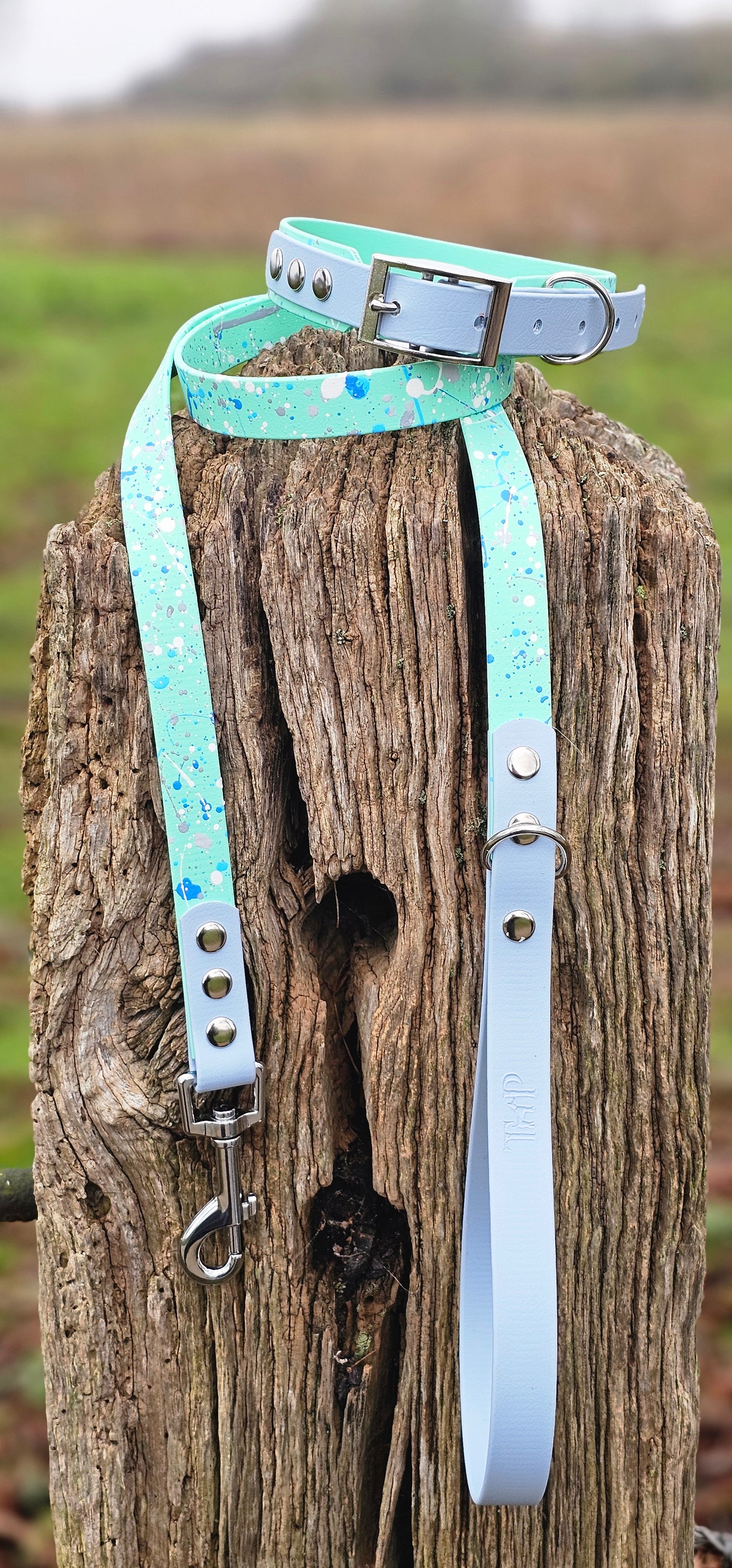 Pastel Splatter Collection Seafoam -  BioThane waterproof Splatter Dog Collar & Lead