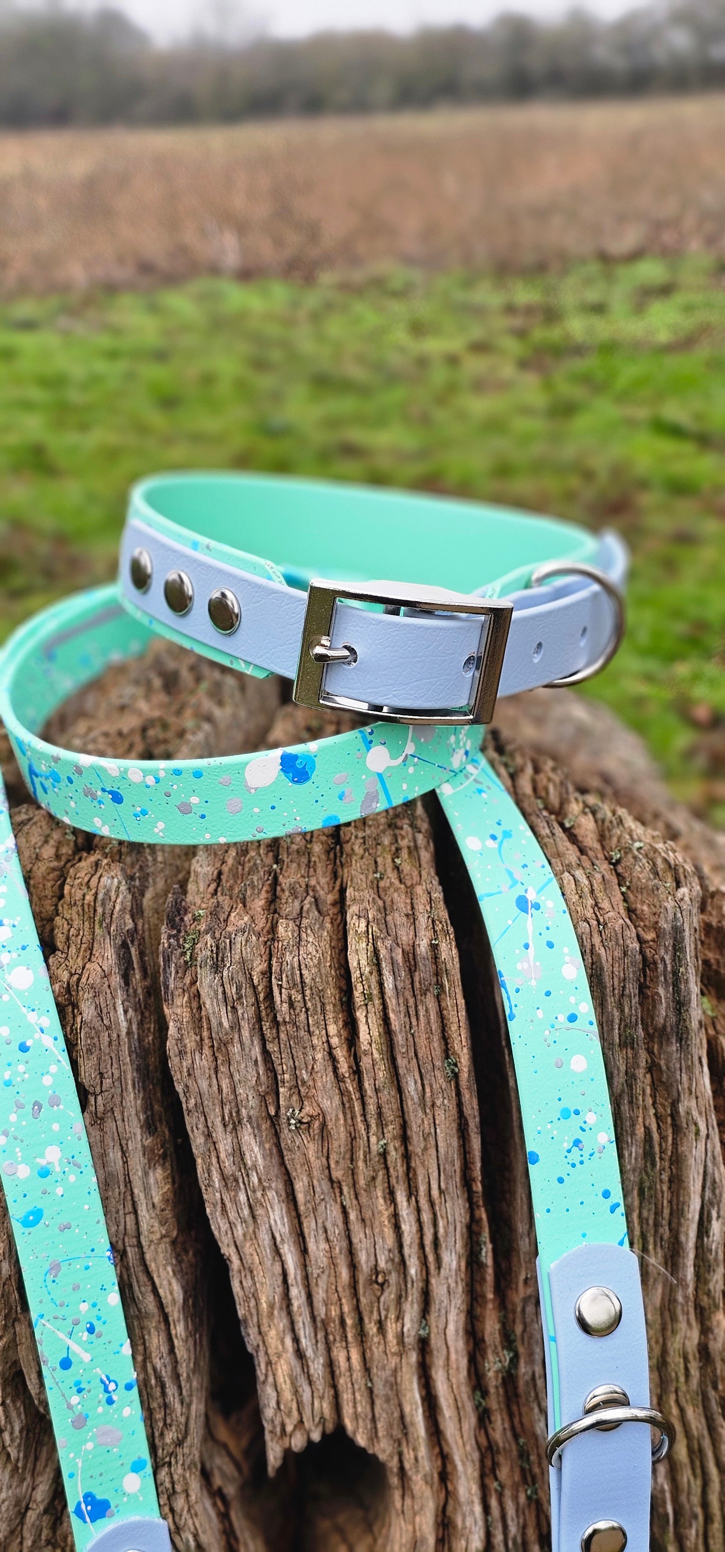 Pastel Splatter Collection Seafoam -  BioThane waterproof Splatter Dog Collar & Lead