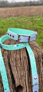 Pastel Splatter Collection Seafoam -  BioThane waterproof Splatter Dog Collar & Lead