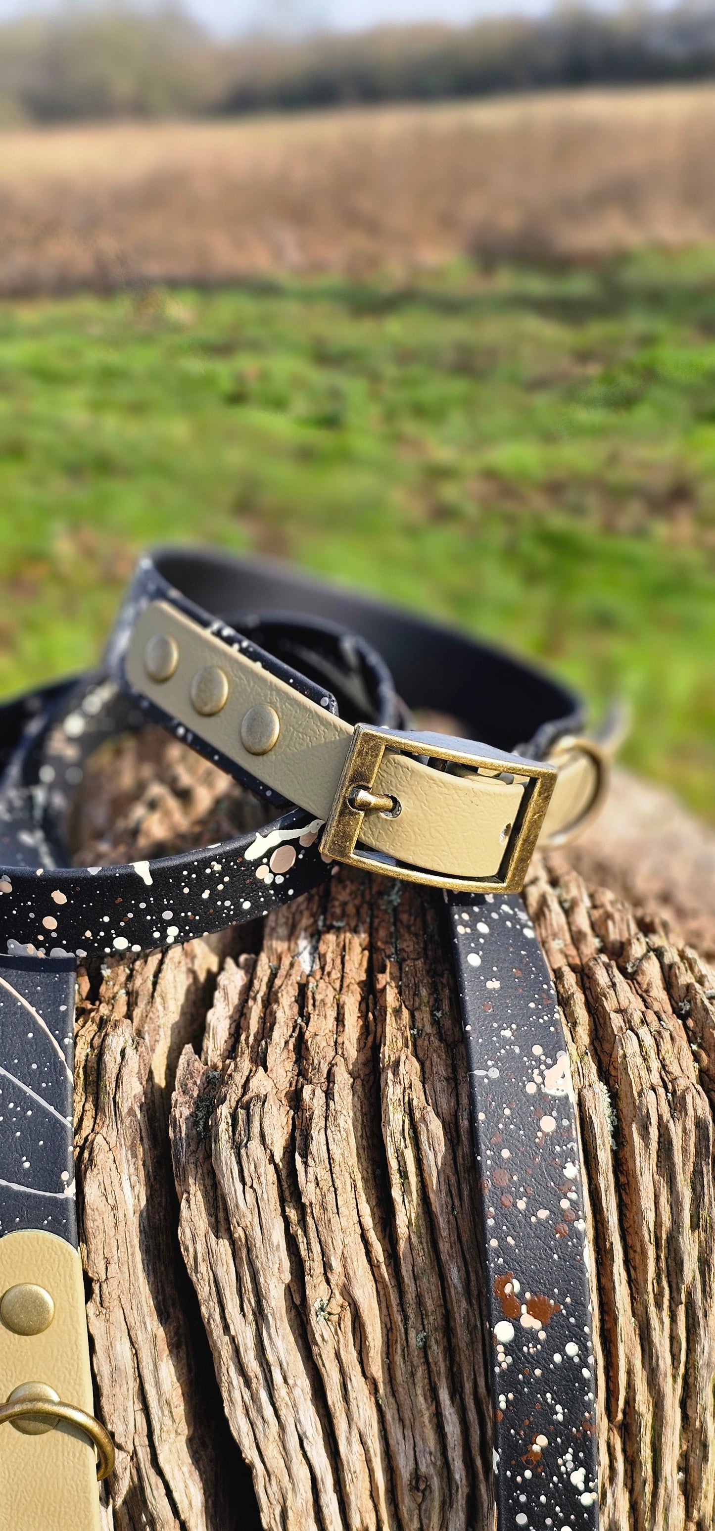 Ironstone - BioThane waterproof Splatter Dog Collar Terra Collection