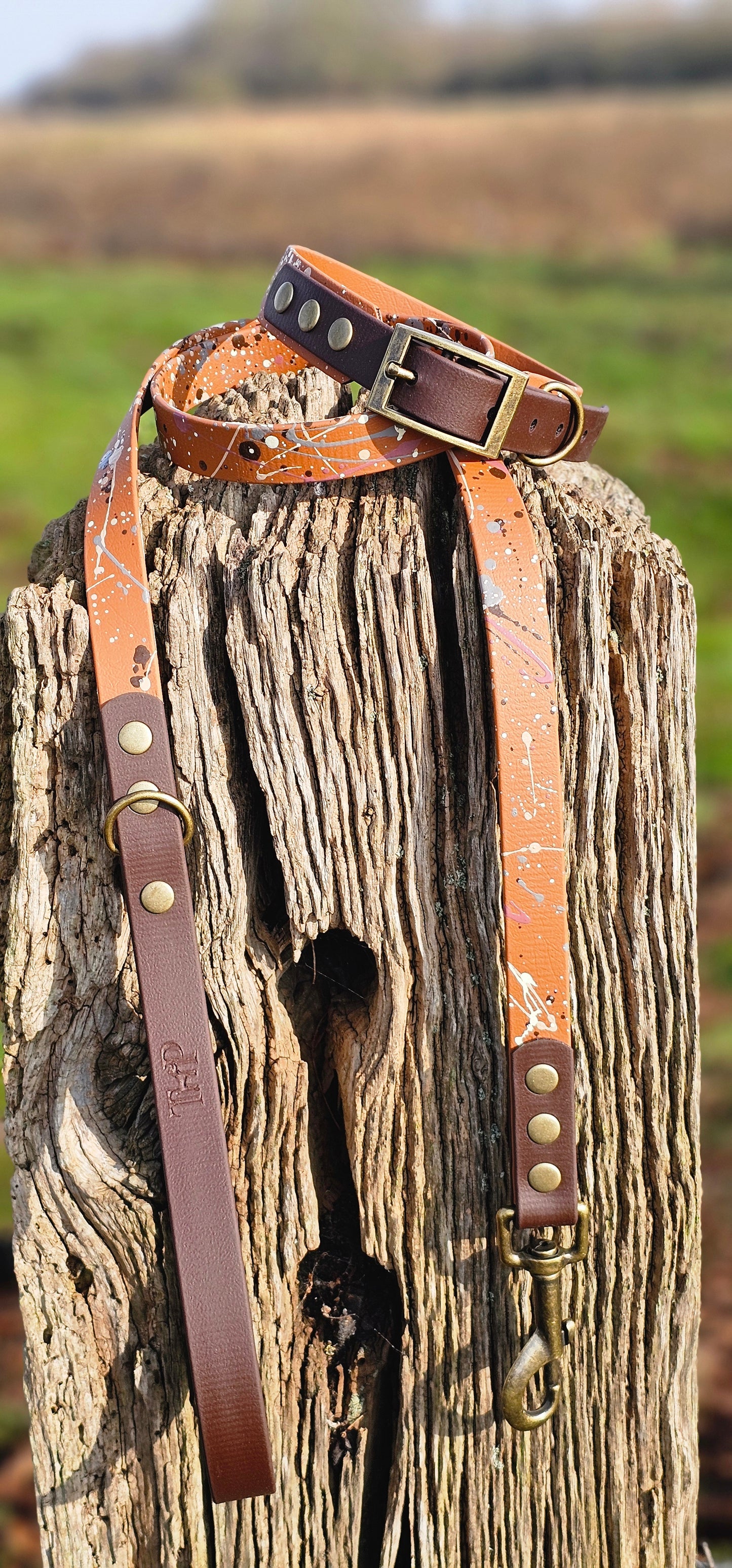 Terra Light Brown - BioThane waterproof Splatter Dog Collar & Lead