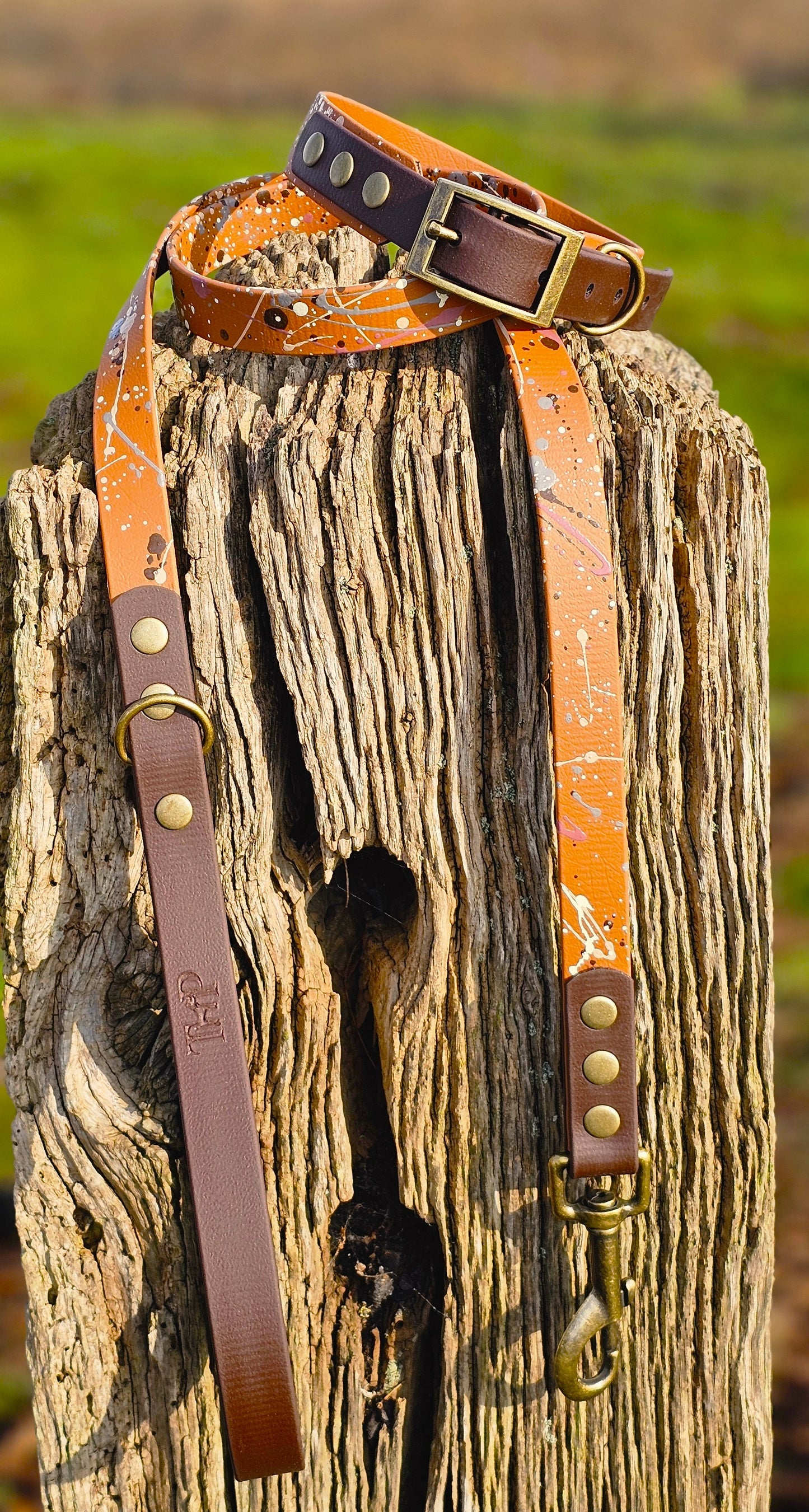 Timberline - BioThane waterproof Splatter Dog Collar Terra Collection