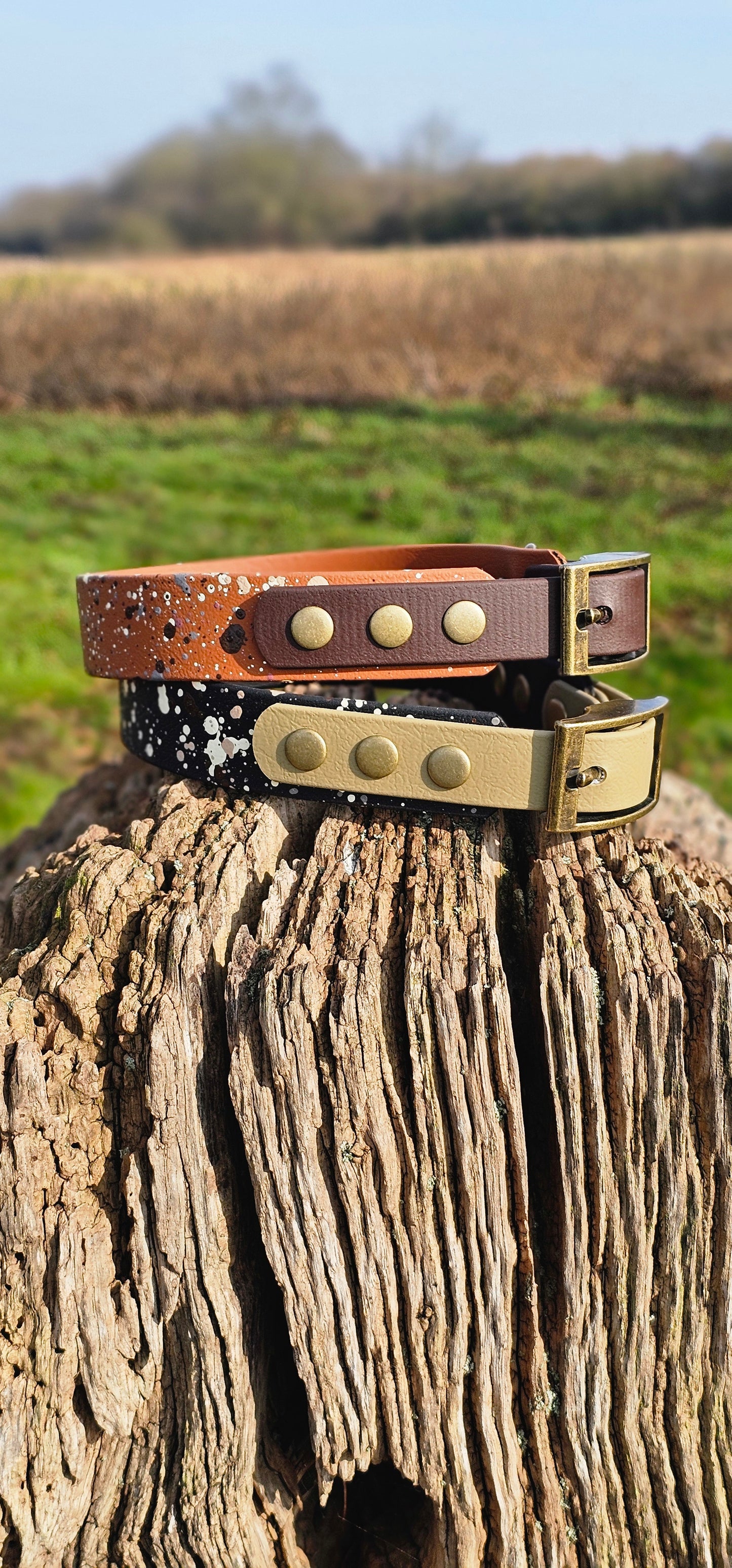Timberline - BioThane waterproof Splatter Dog Collar Terra Collection