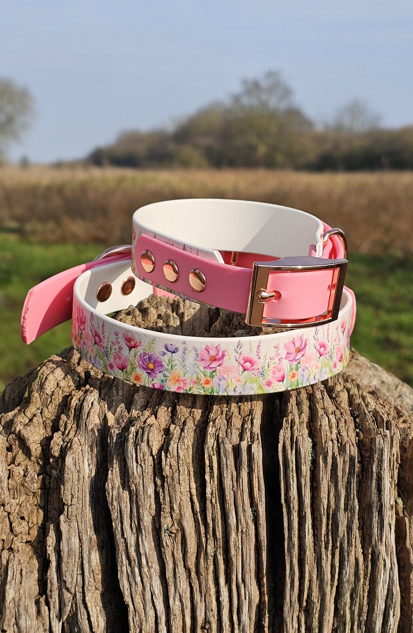 Pink Blossom Waterproof BioThane® Dog Collar