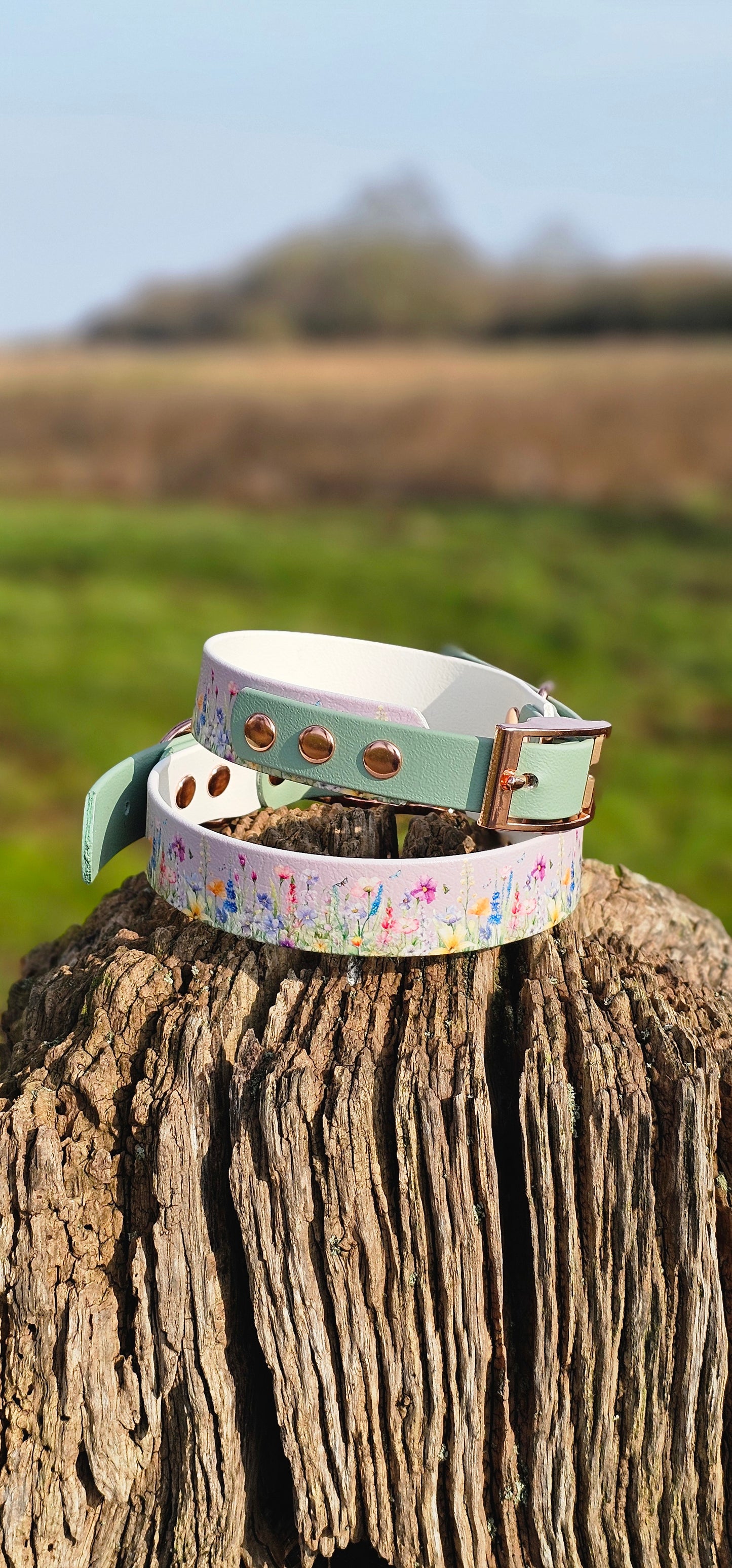 Wildflower Meadow – Waterproof BioThane® Dog Collar