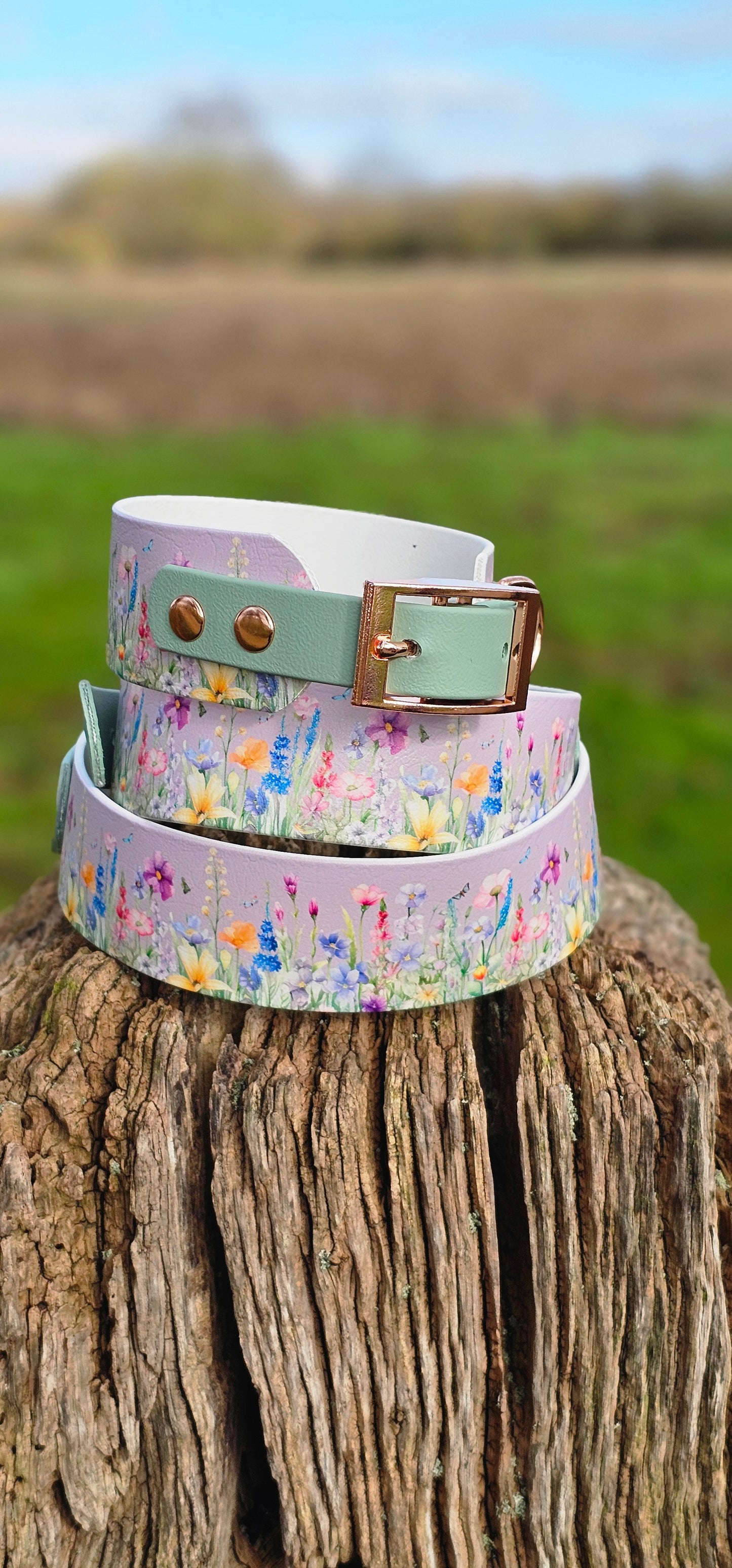 Wildflower Meadow – Waterproof BioThane® Sighthound Collar