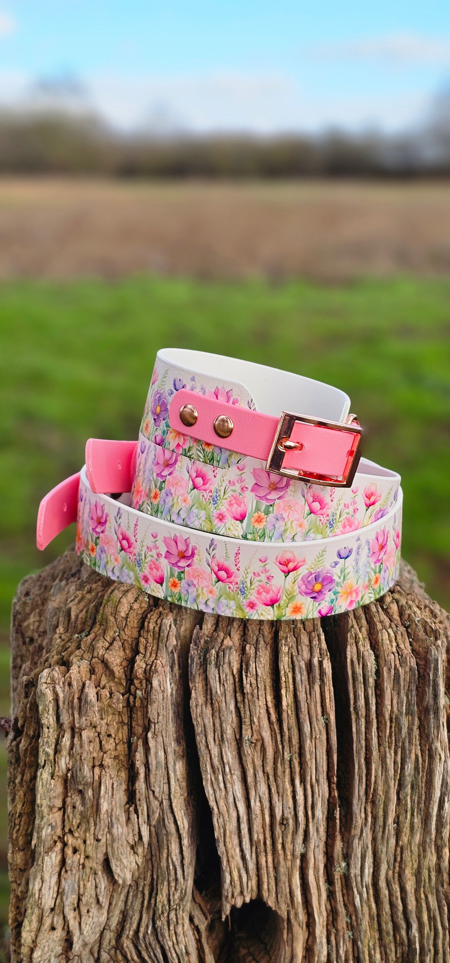 Pink Blossom Waterproof BioThane® Sighthound Collar