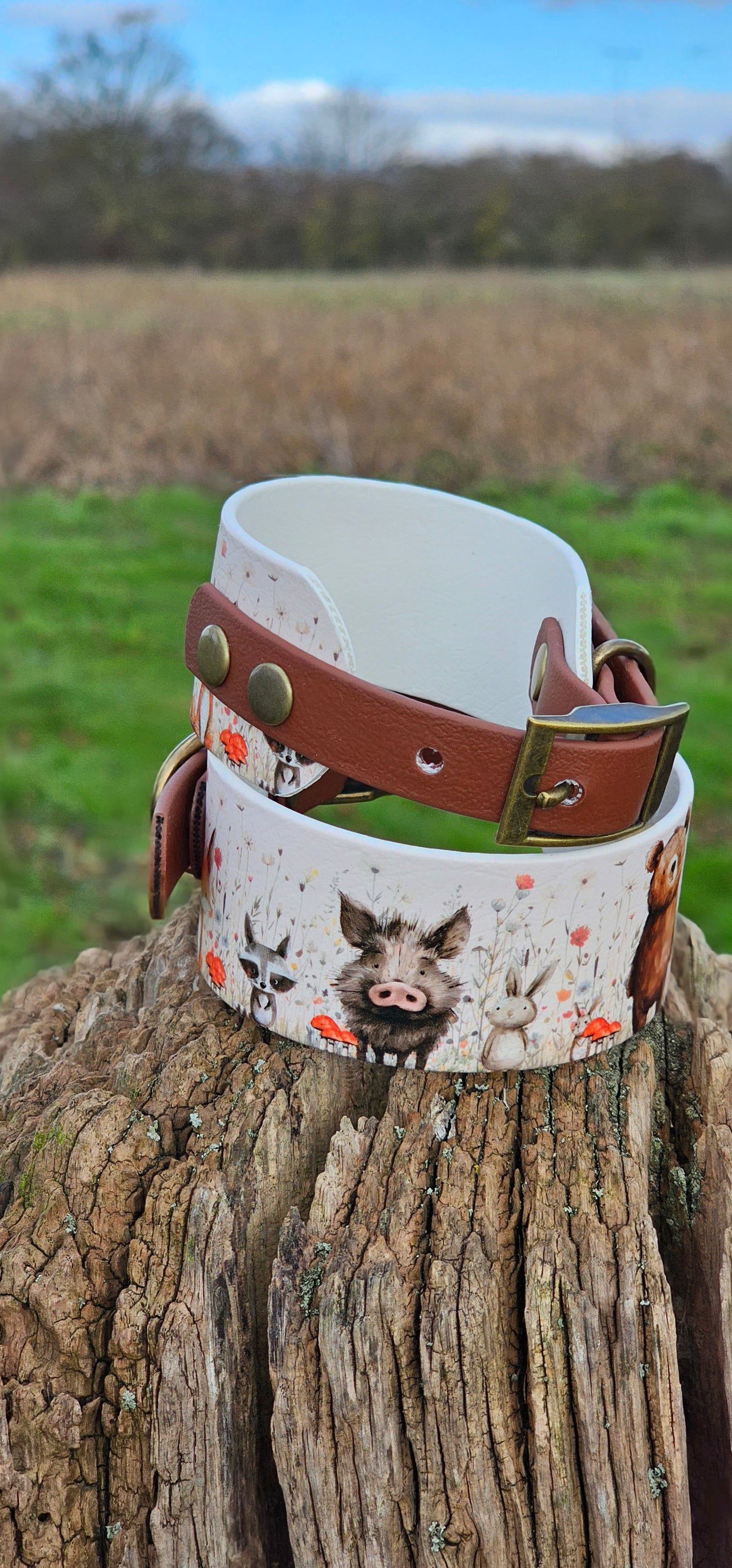 Hello Woodland – Waterproof BioThane® Sighthound Collar