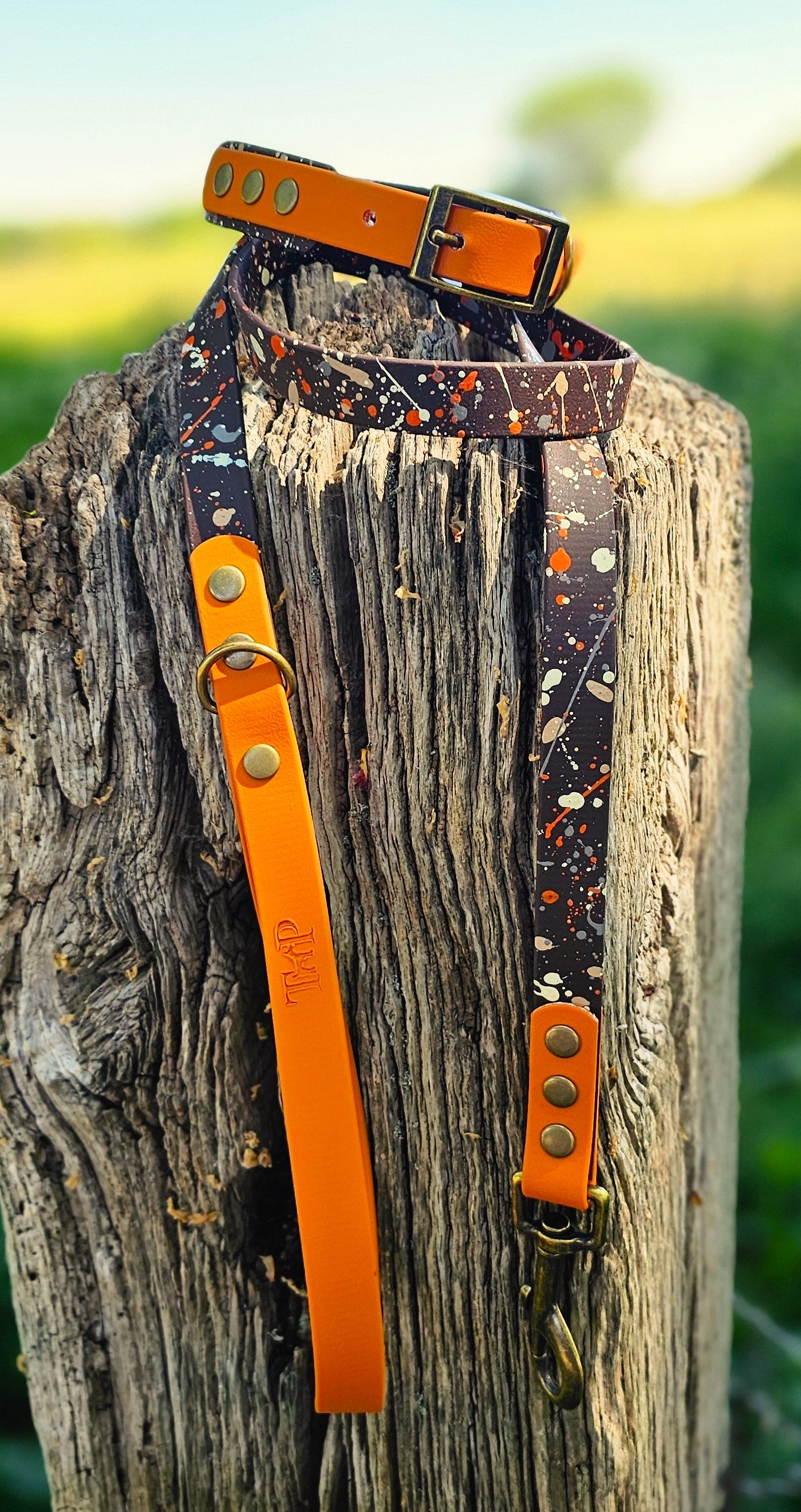 Fireside - BioThane waterproof Splatter Dog Collar Terra Collection