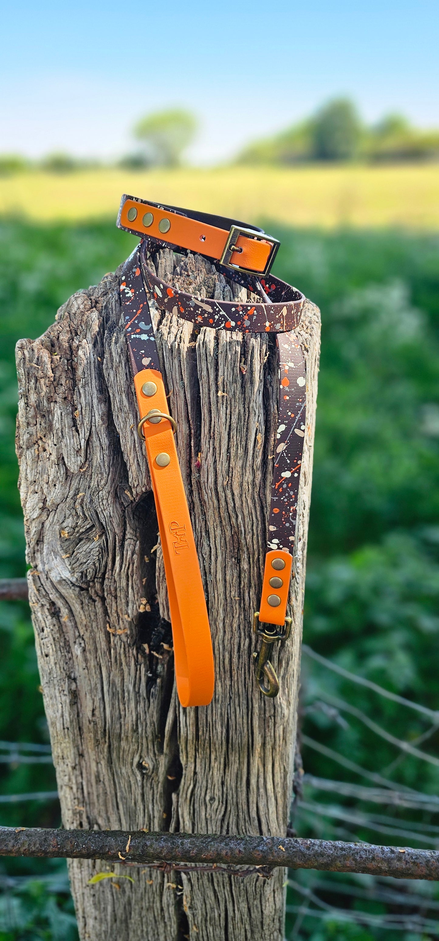 Fireside - BioThane waterproof Splatter Dog Lead Terra Collection