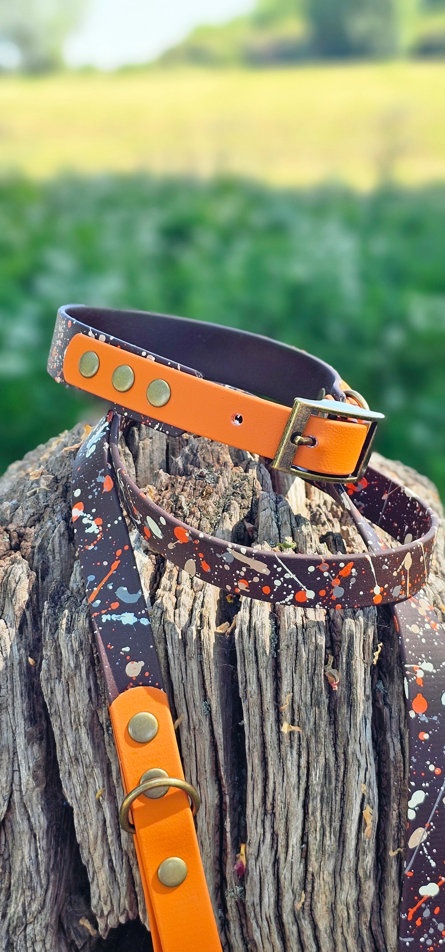 Fireside - BioThane waterproof Splatter Dog Collar Terra Collection