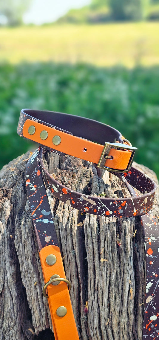Fireside - BioThane waterproof Splatter Dog Collar Terra Collection