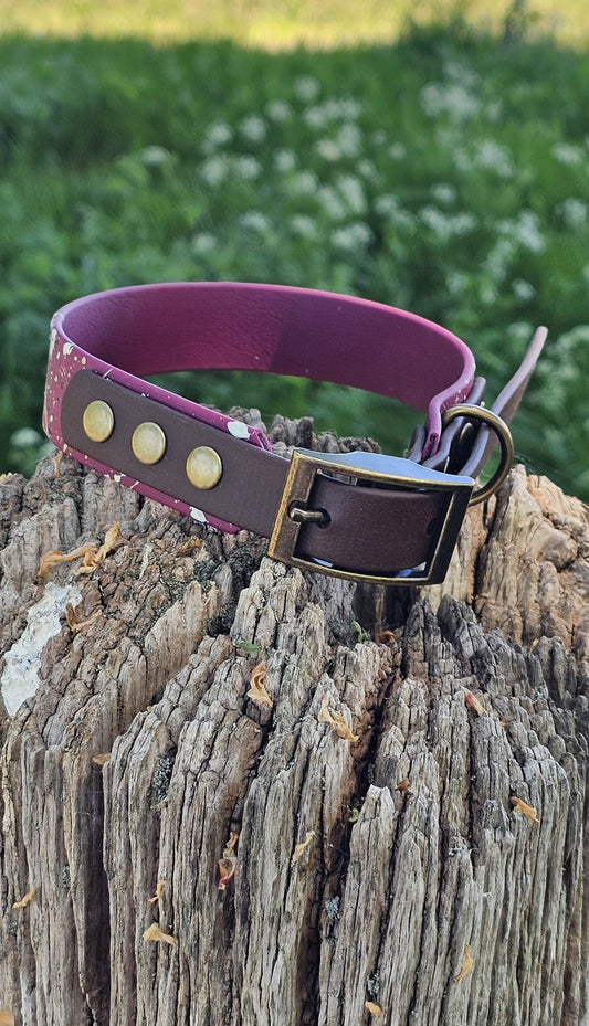 Emberstone - BioThane waterproof Splatter Dog Collar Terra Collection