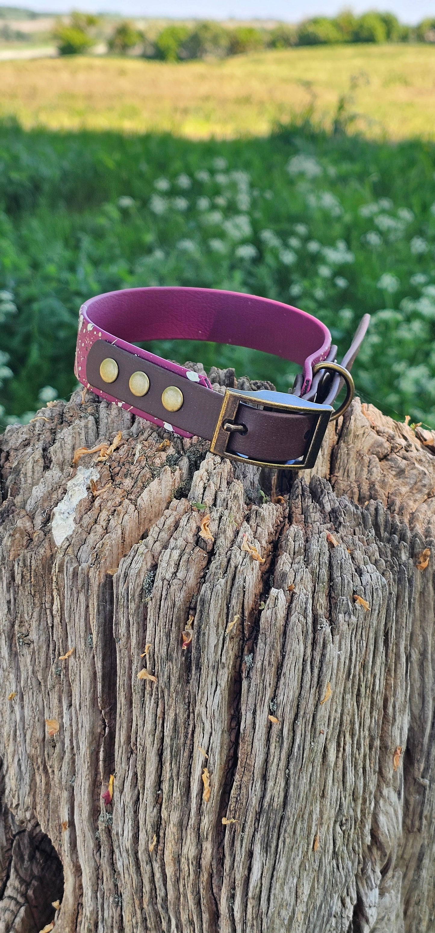 Emberstone - BioThane waterproof Splatter Dog Collar Terra Collection