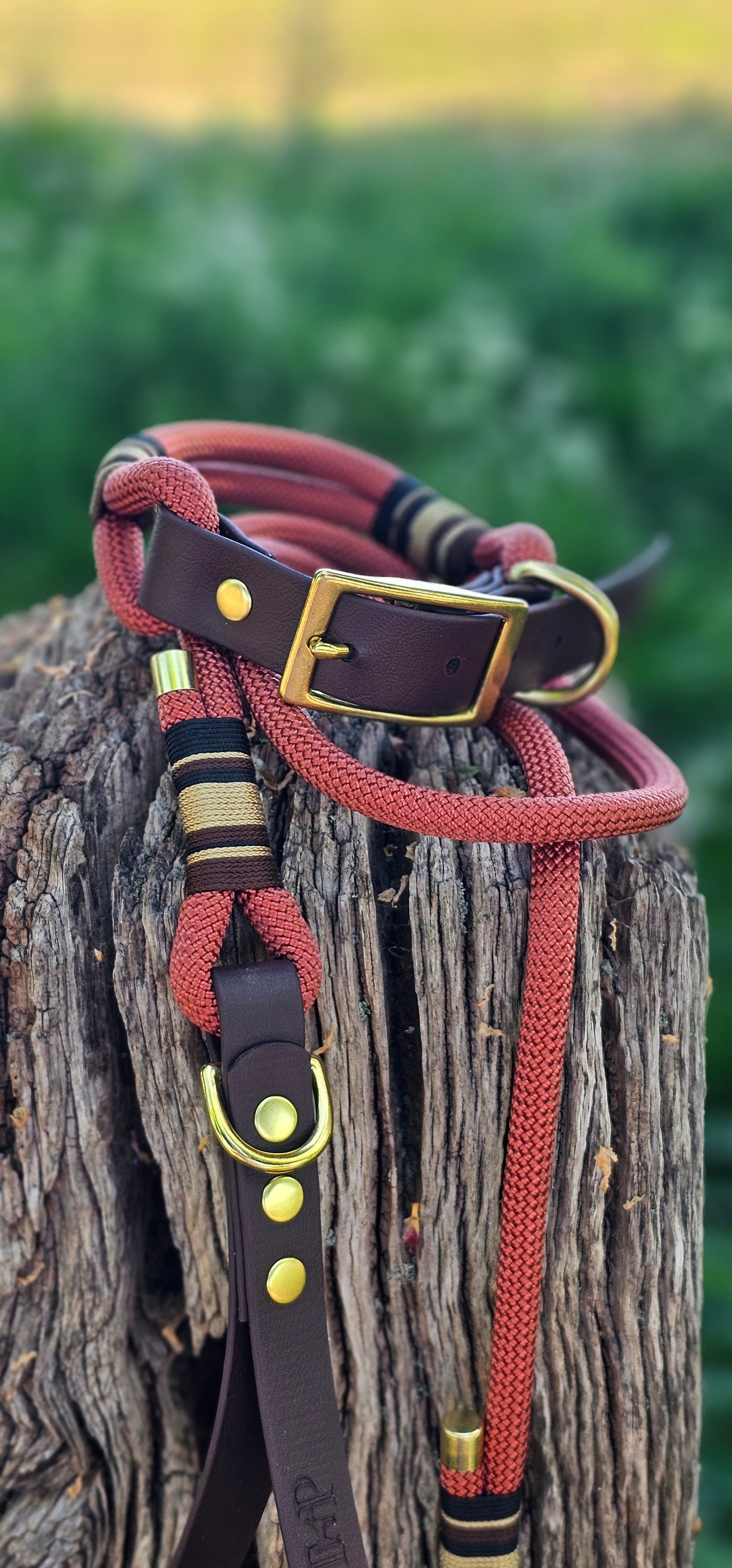 DESIGN YOUR OWN - Premium Rope Collar & Lead Bundle