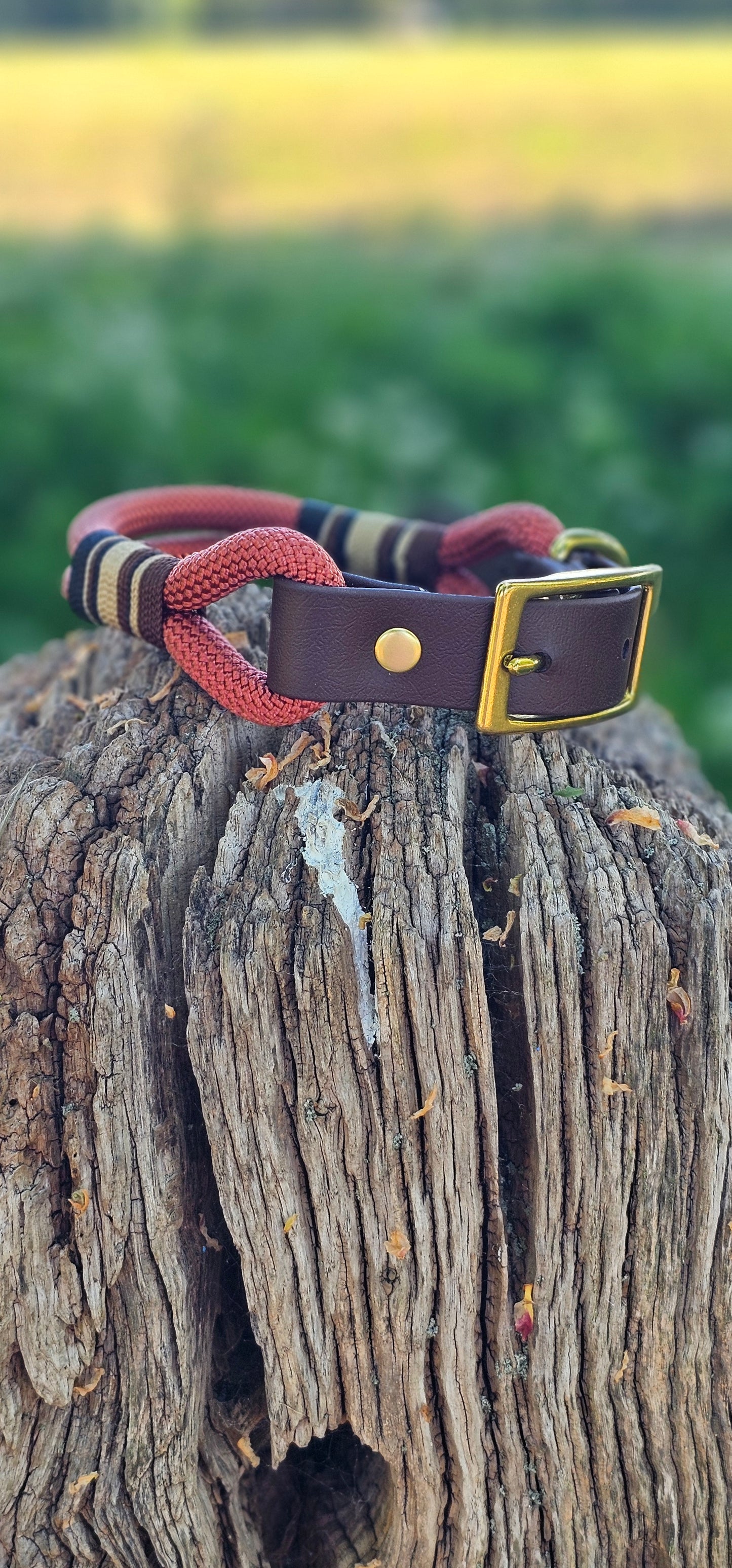 Burford - Premium Rope BioThane® Dog Collar
