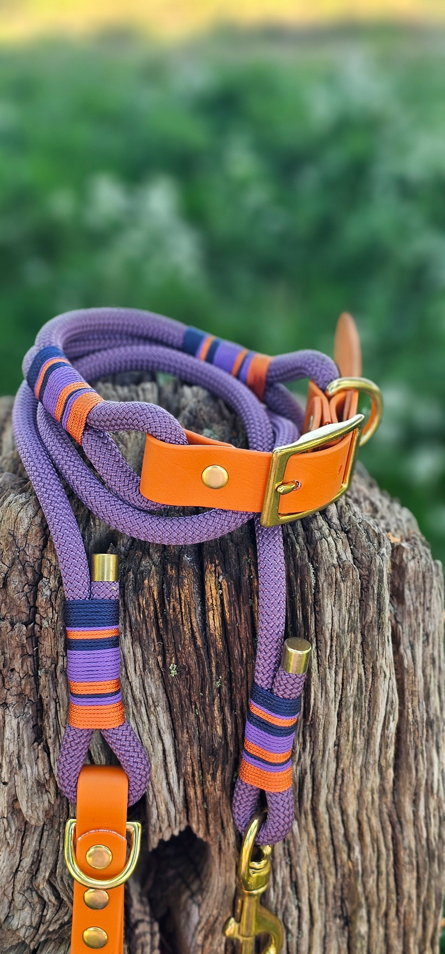 DESIGN YOUR OWN - Premium Rope Collar & Lead Bundle