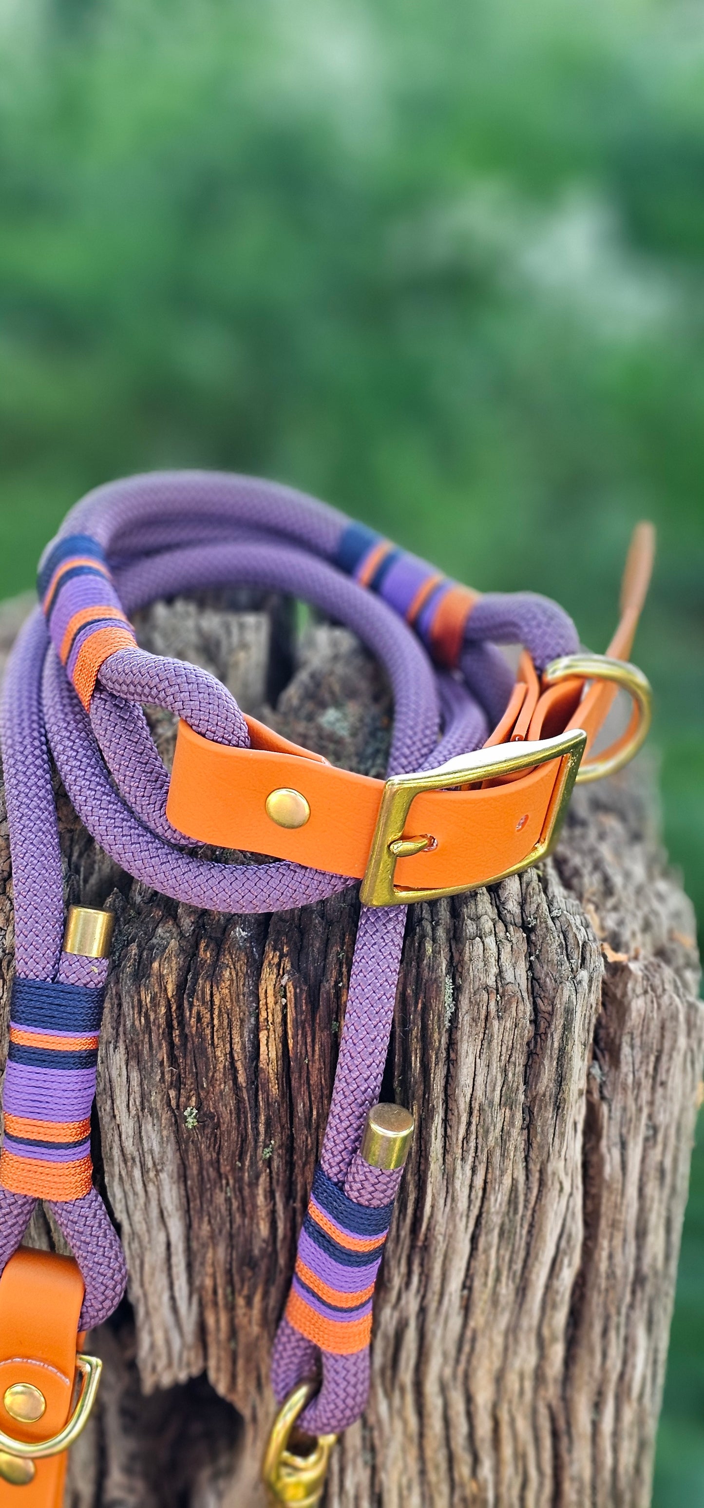 Ascot - Premium Rope BioThane® Dog Collar