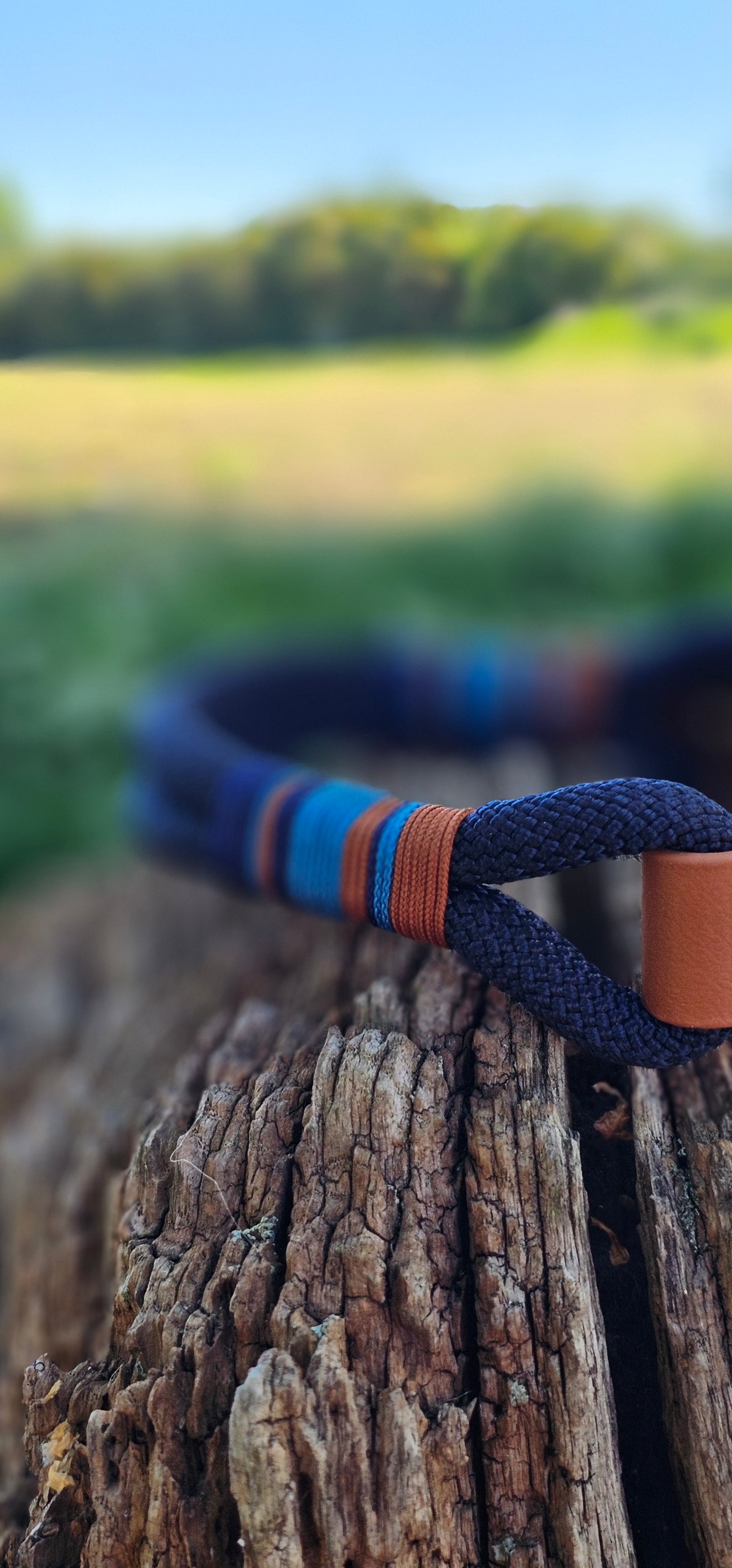Windsor - Premium Rope BioThane® Dog Lead