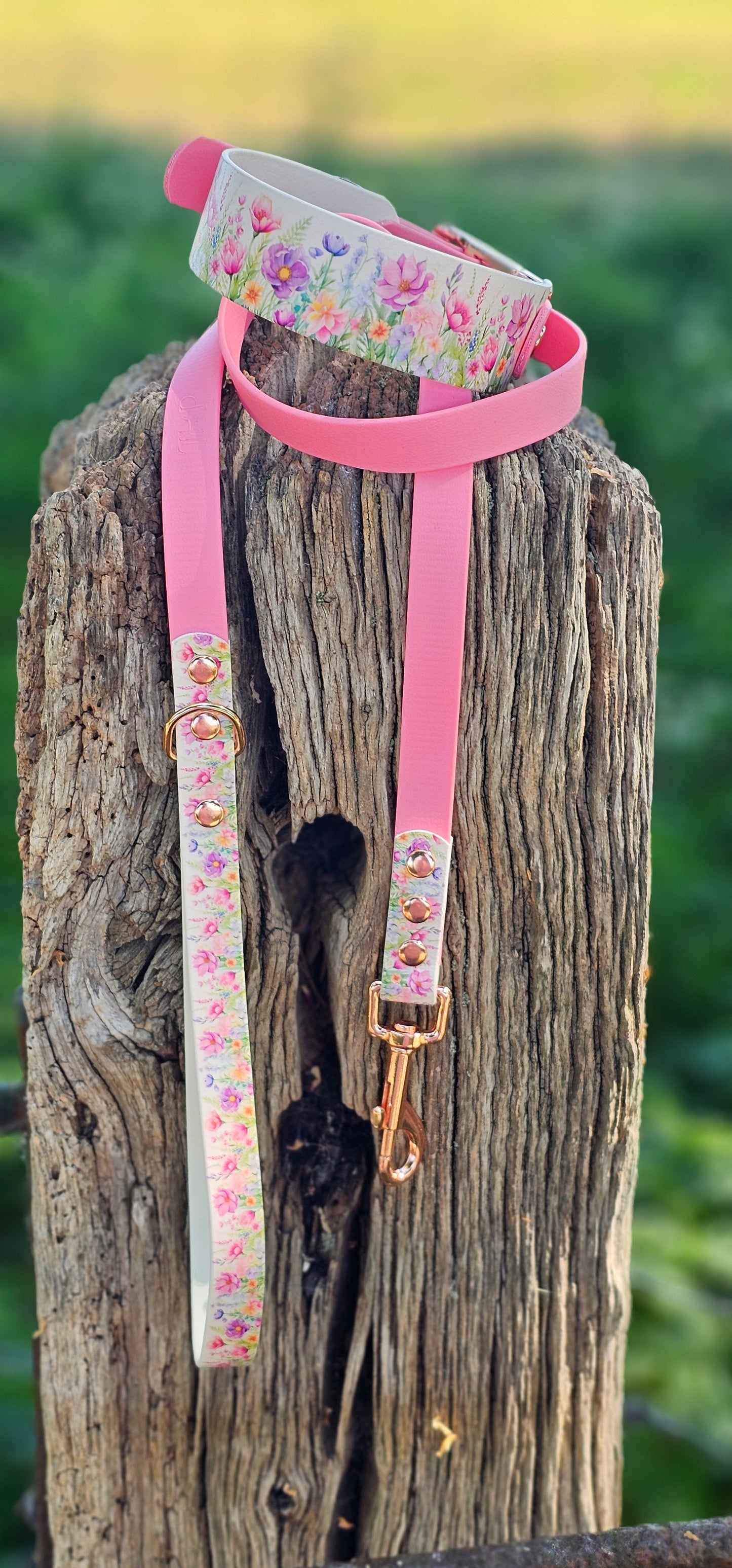 Pink Blossom Waterproof BioThane® Sighthound Collar