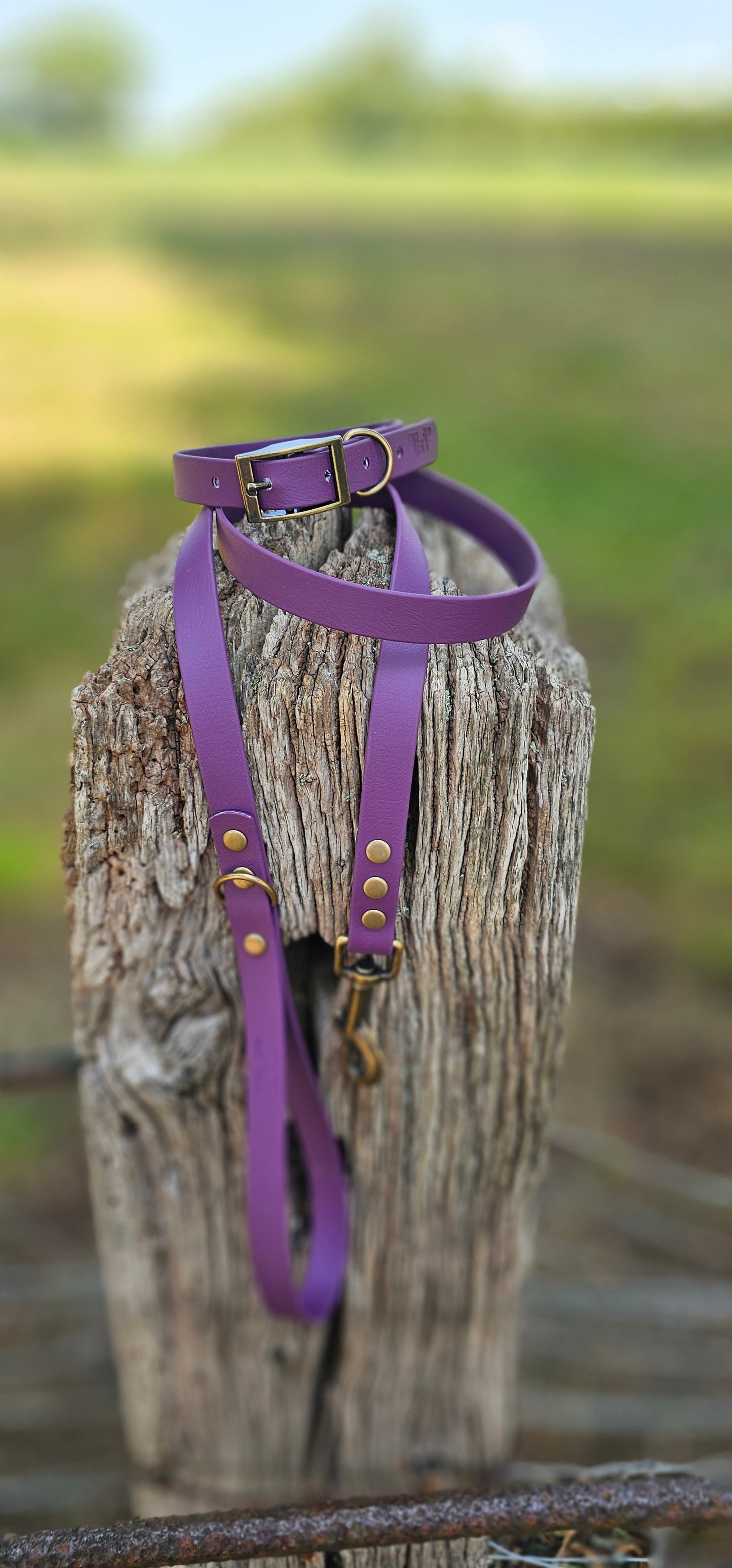 Aubergine Waterproof BioThane© Dog Collar