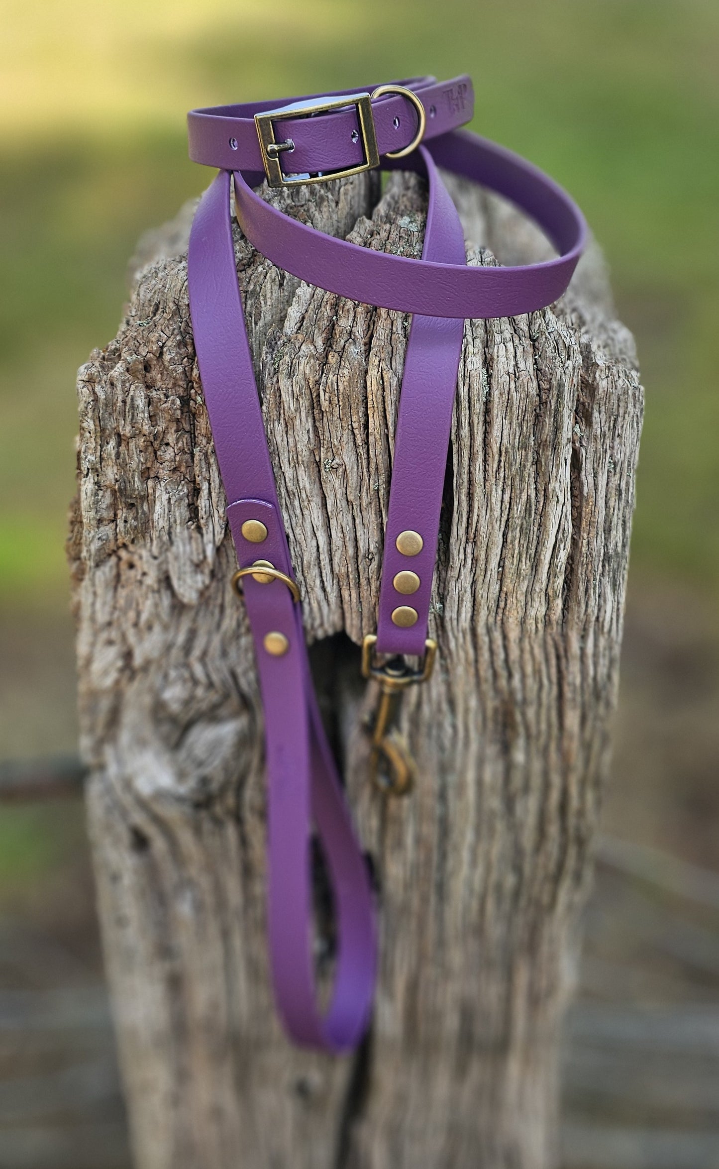 Aubergine - Waterproof BioThane© Dog Collar