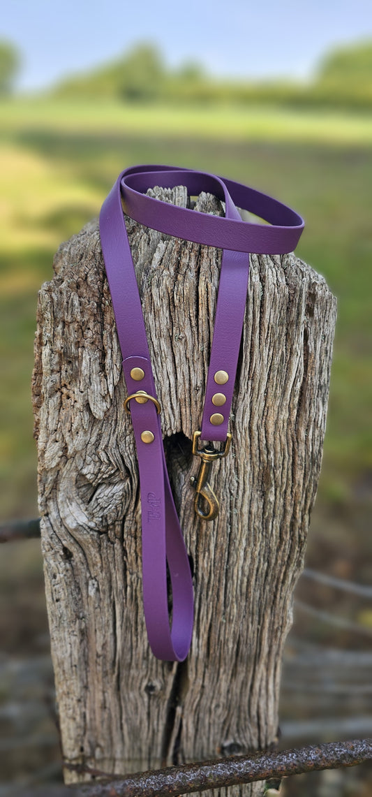 Aubergine Waterproof BioThane© Dog Lead