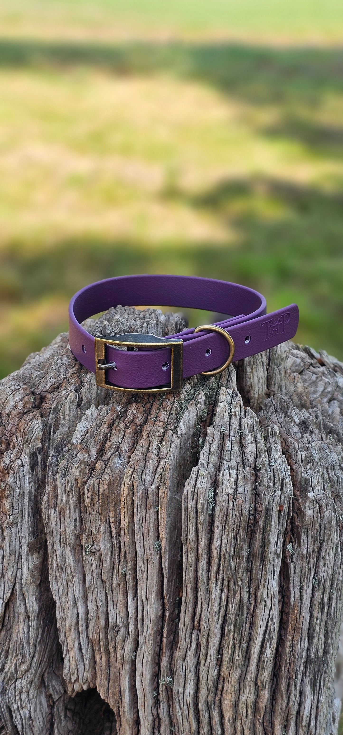 Aubergine Waterproof BioThane© Dog Collar